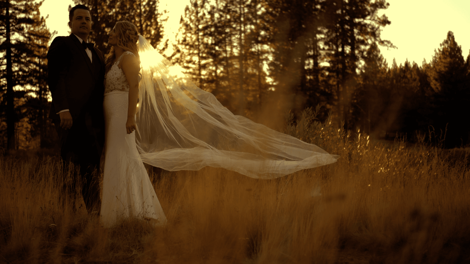 Scott and Caitlyn's wedding film