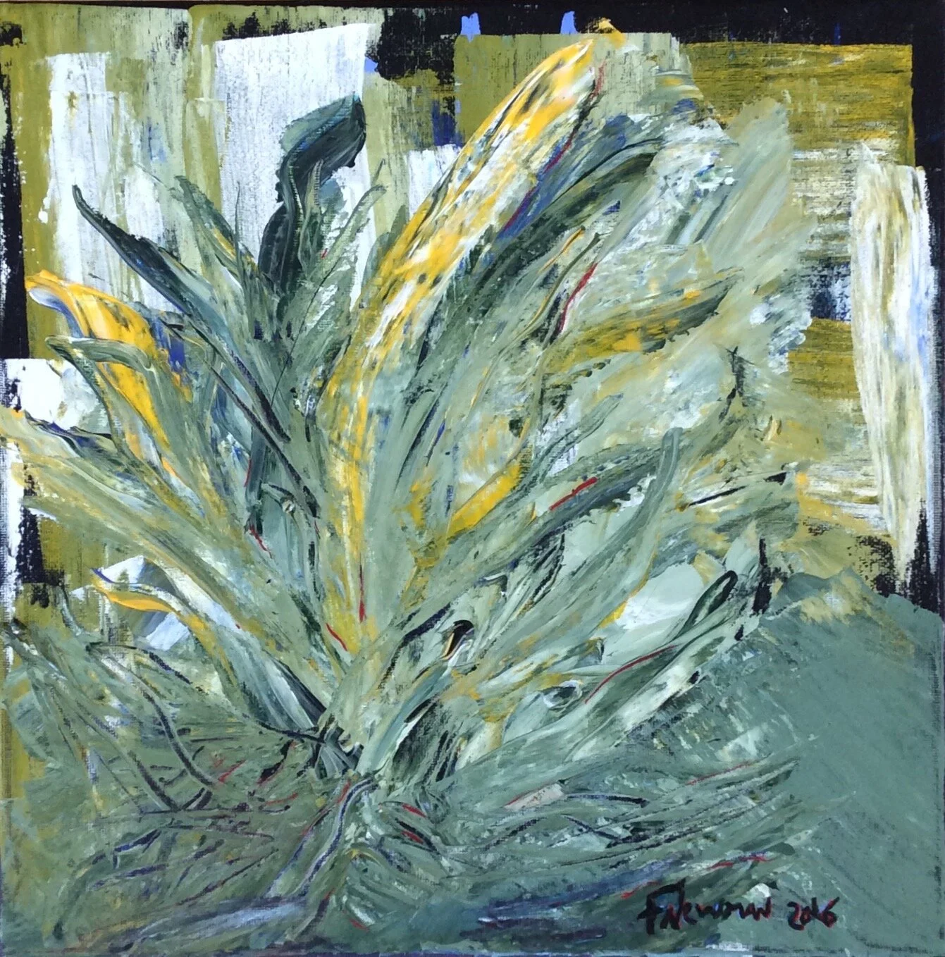 Yellow Agave