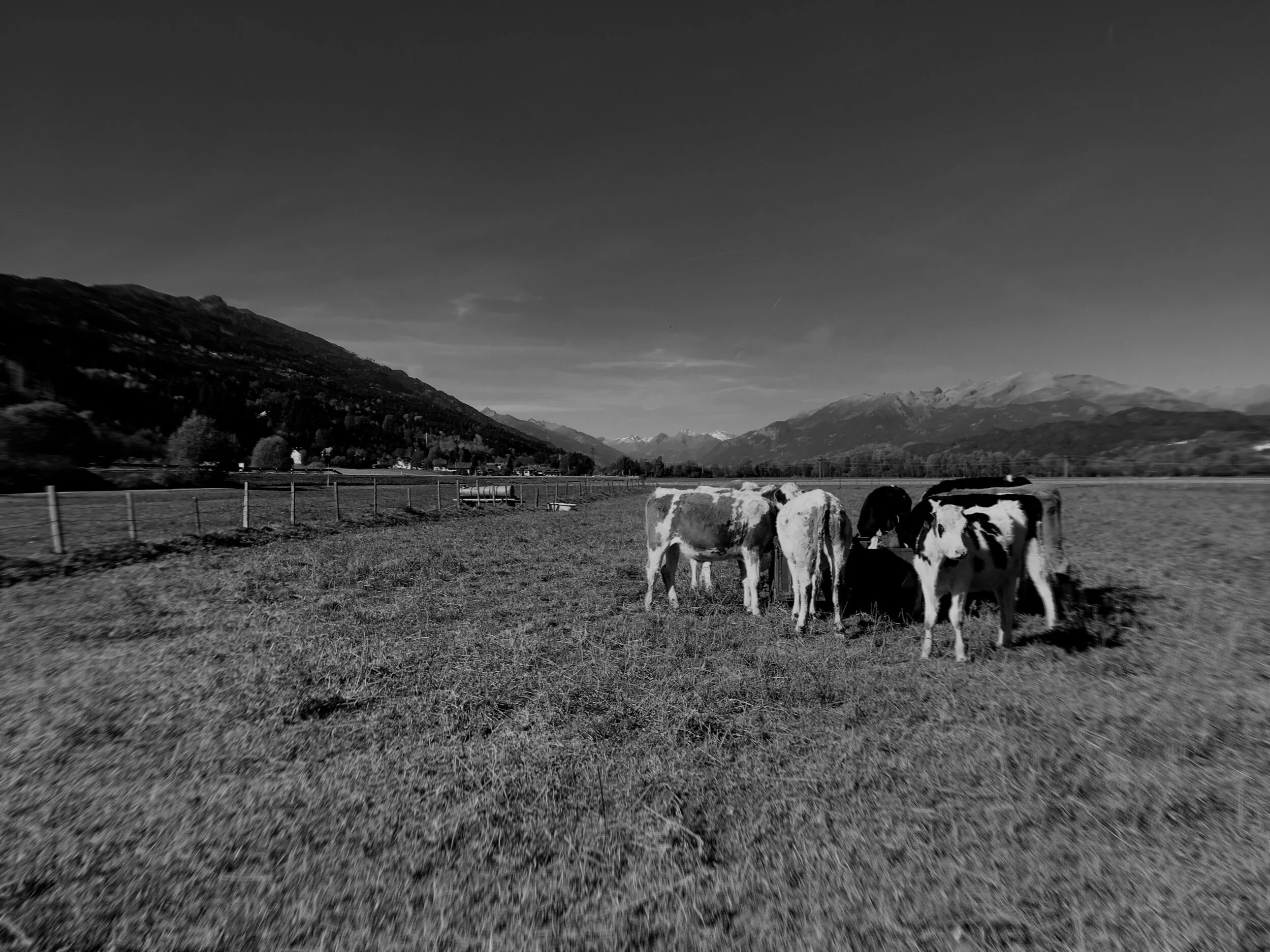 Deine Welt prägt mich