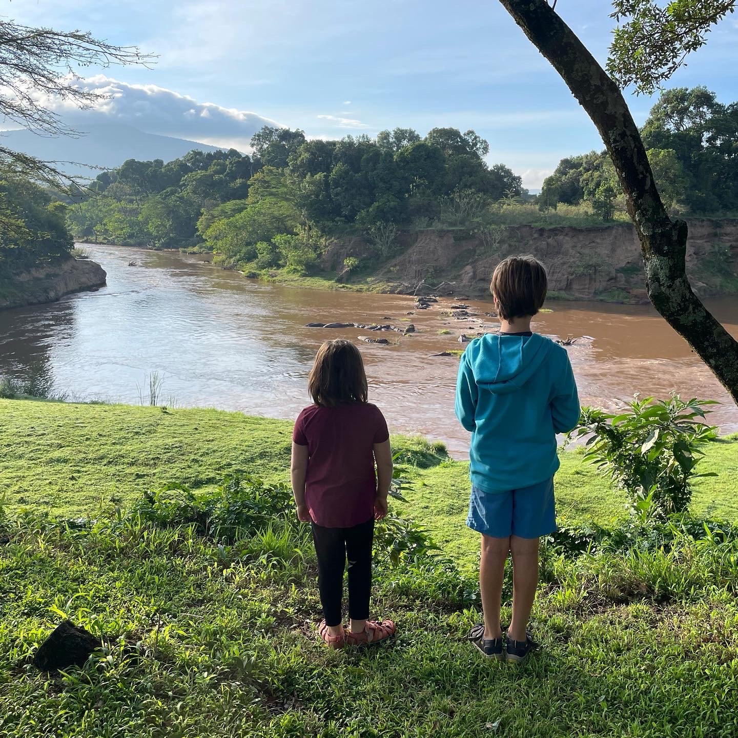 View from House in the Wild