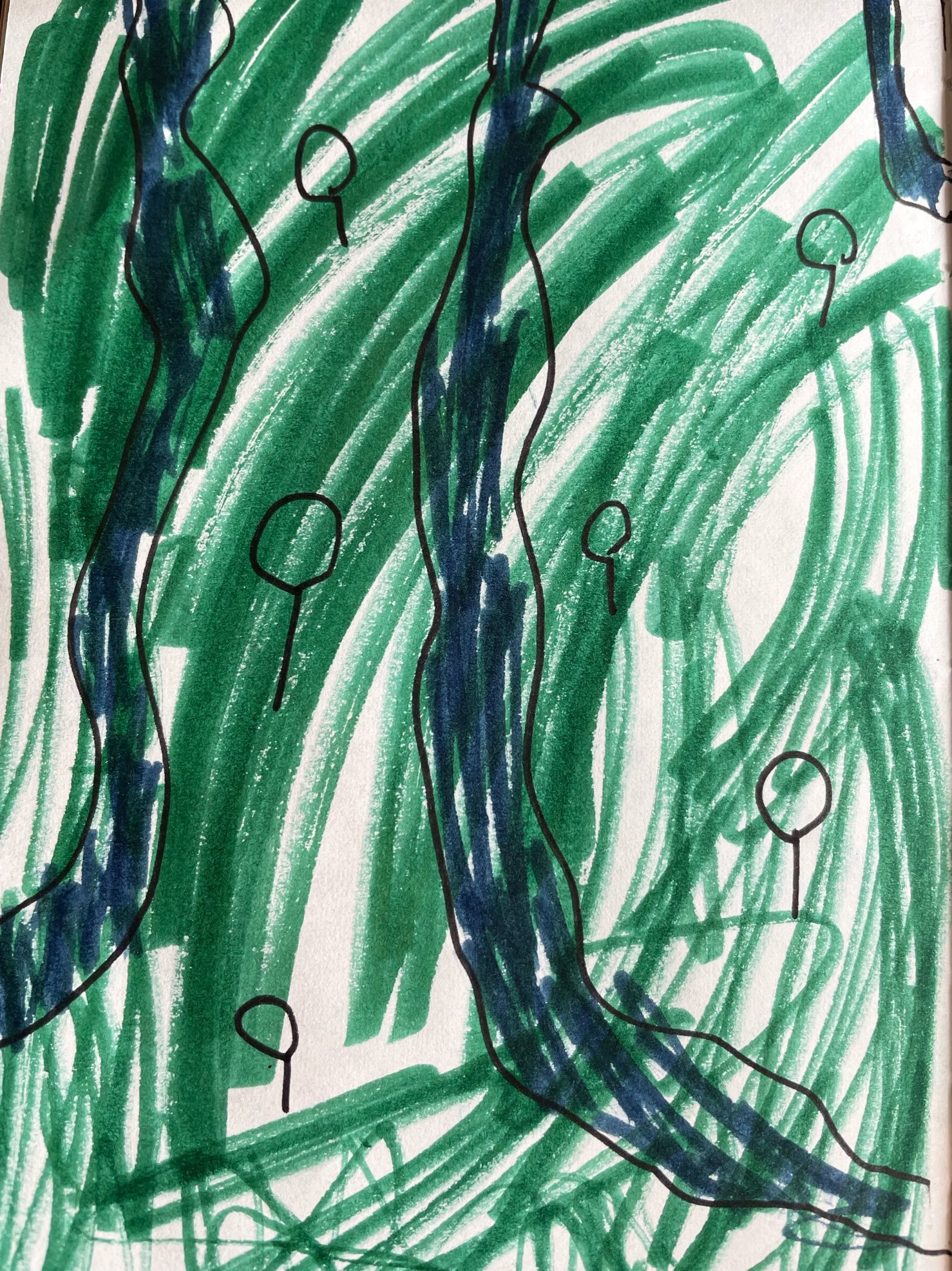 Willa's drawing of grass and rivers