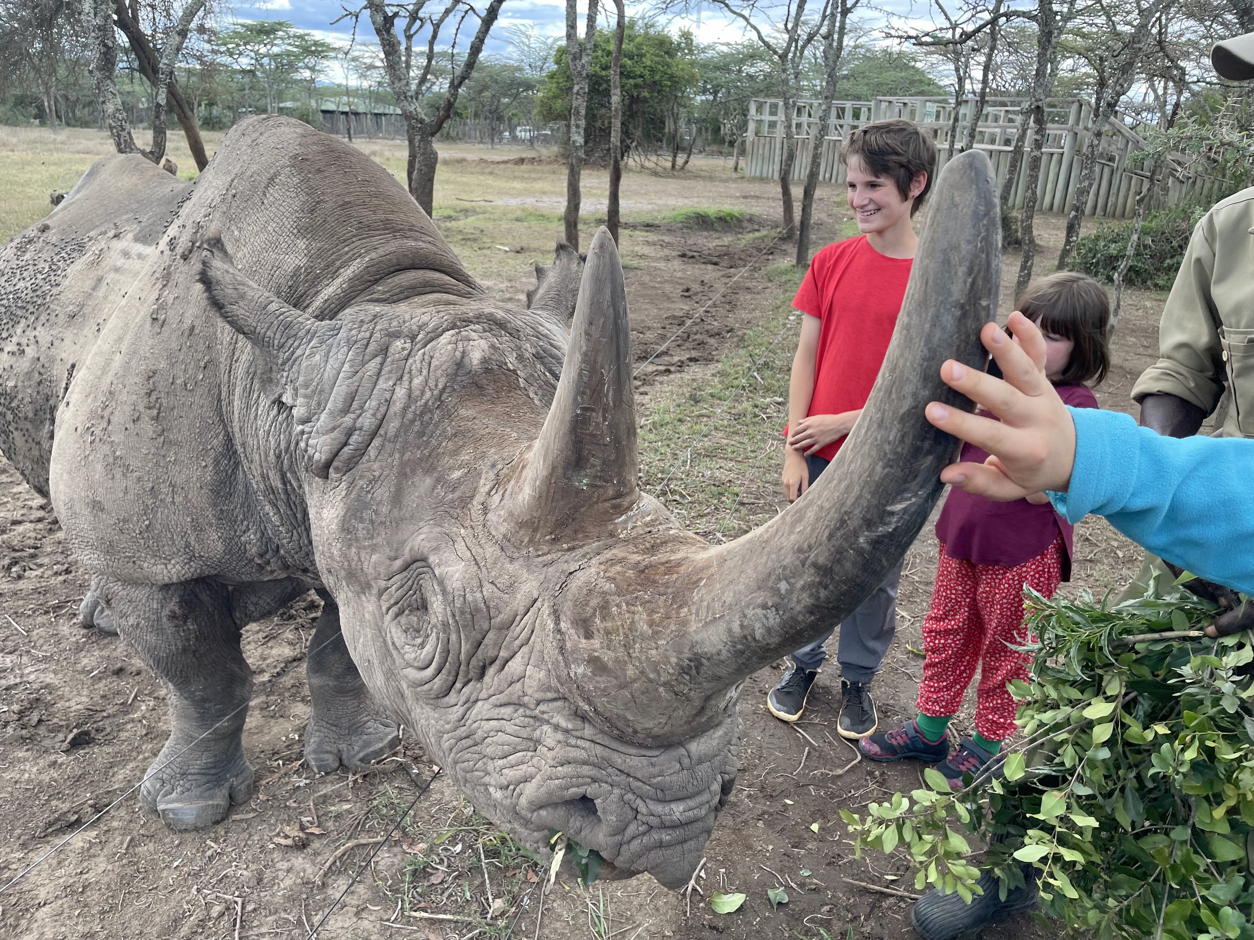 Visiting Baraka, the Blind Rhino