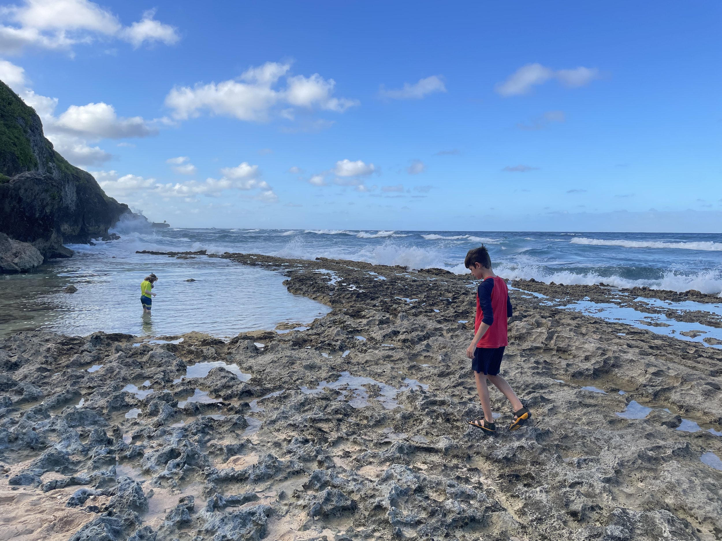 Tidepooling