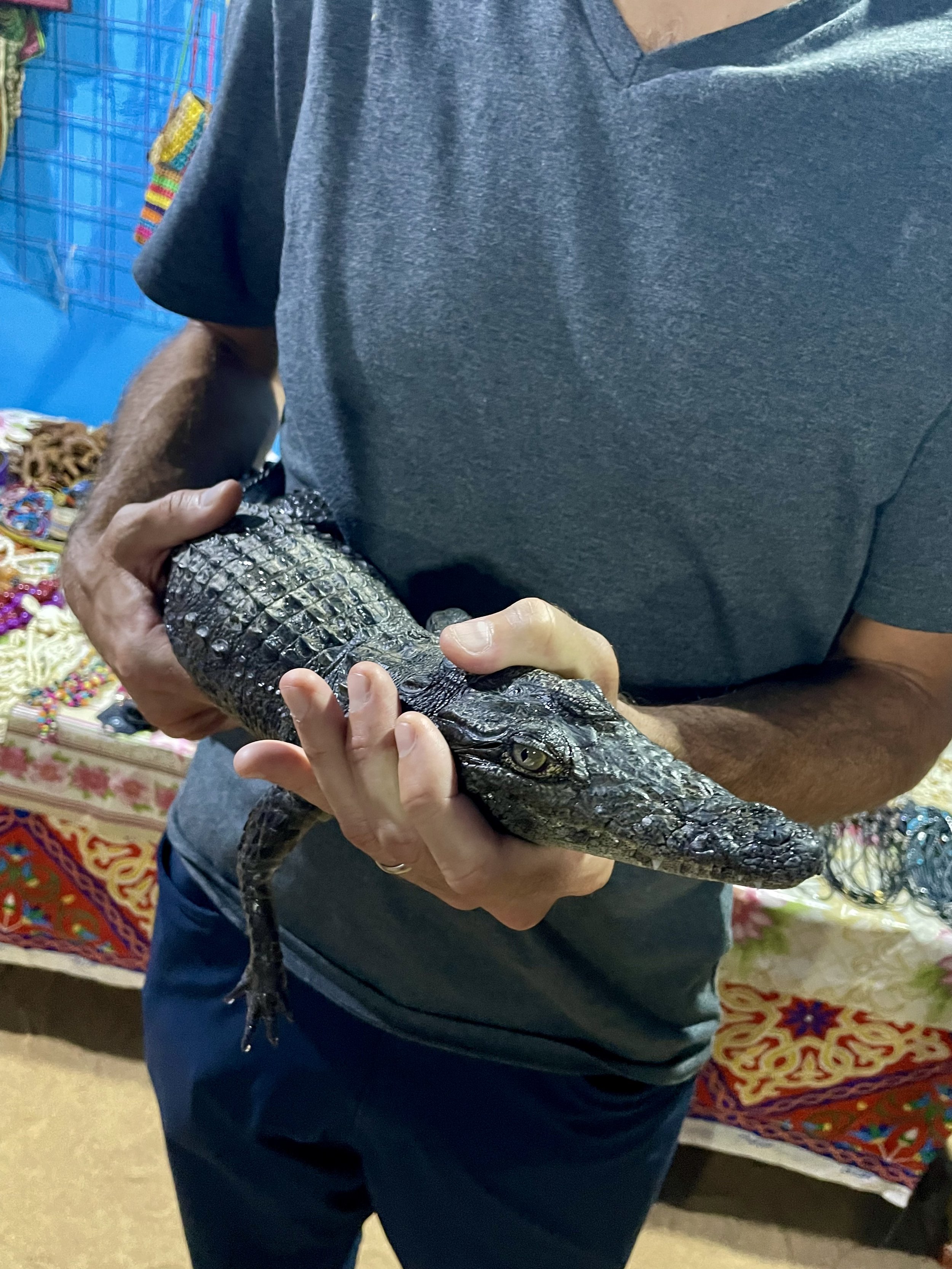 the spice vendor showed us his gators