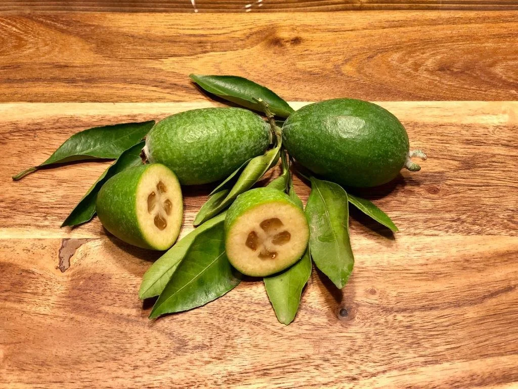 feijoa.JPG