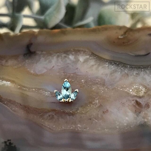 Aquamarine- the beautiful birthstone for the month of March ✨ #BVLA
:
:
:
:
:
:
:
:
#rockstarpiercing #rockstarbodypiercing #providence #providenceri #piercings #piercing #bodyjewelry #finejewelry #gold #goldjewelry #aquamarine #marchbirthstone #jewe