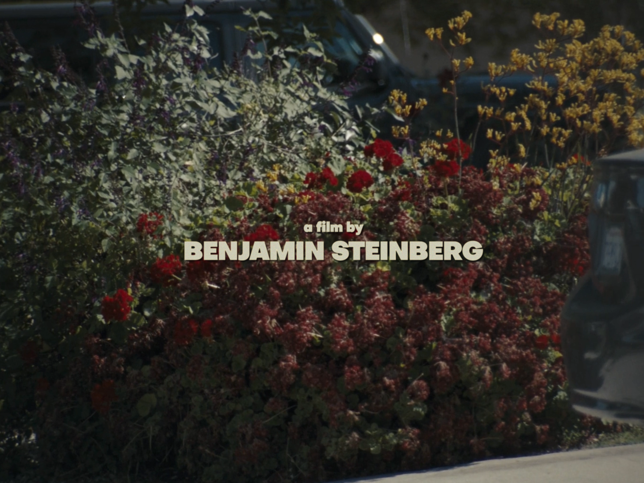 Hikikomori Opening Titles Still 1 .png