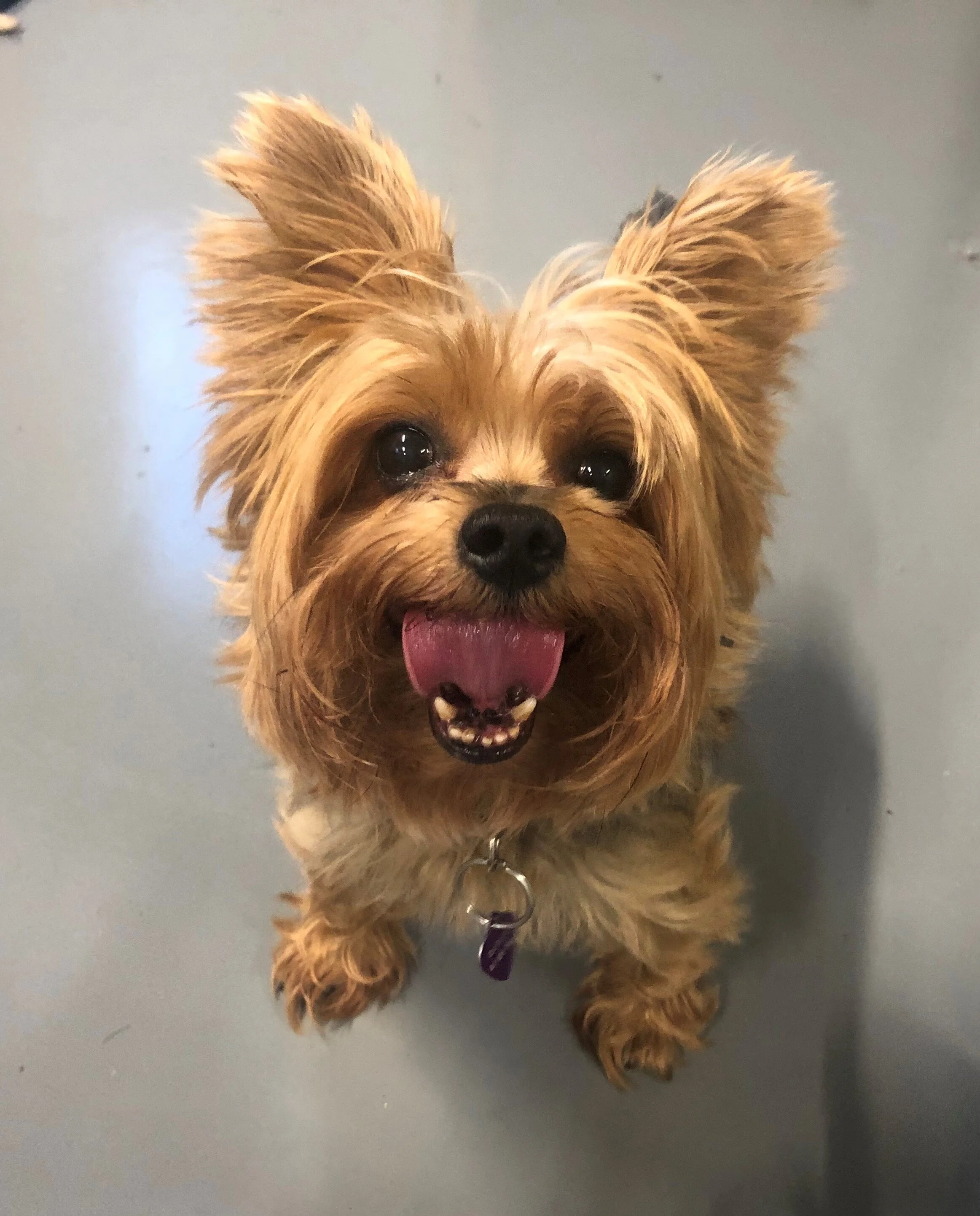 second home boarding