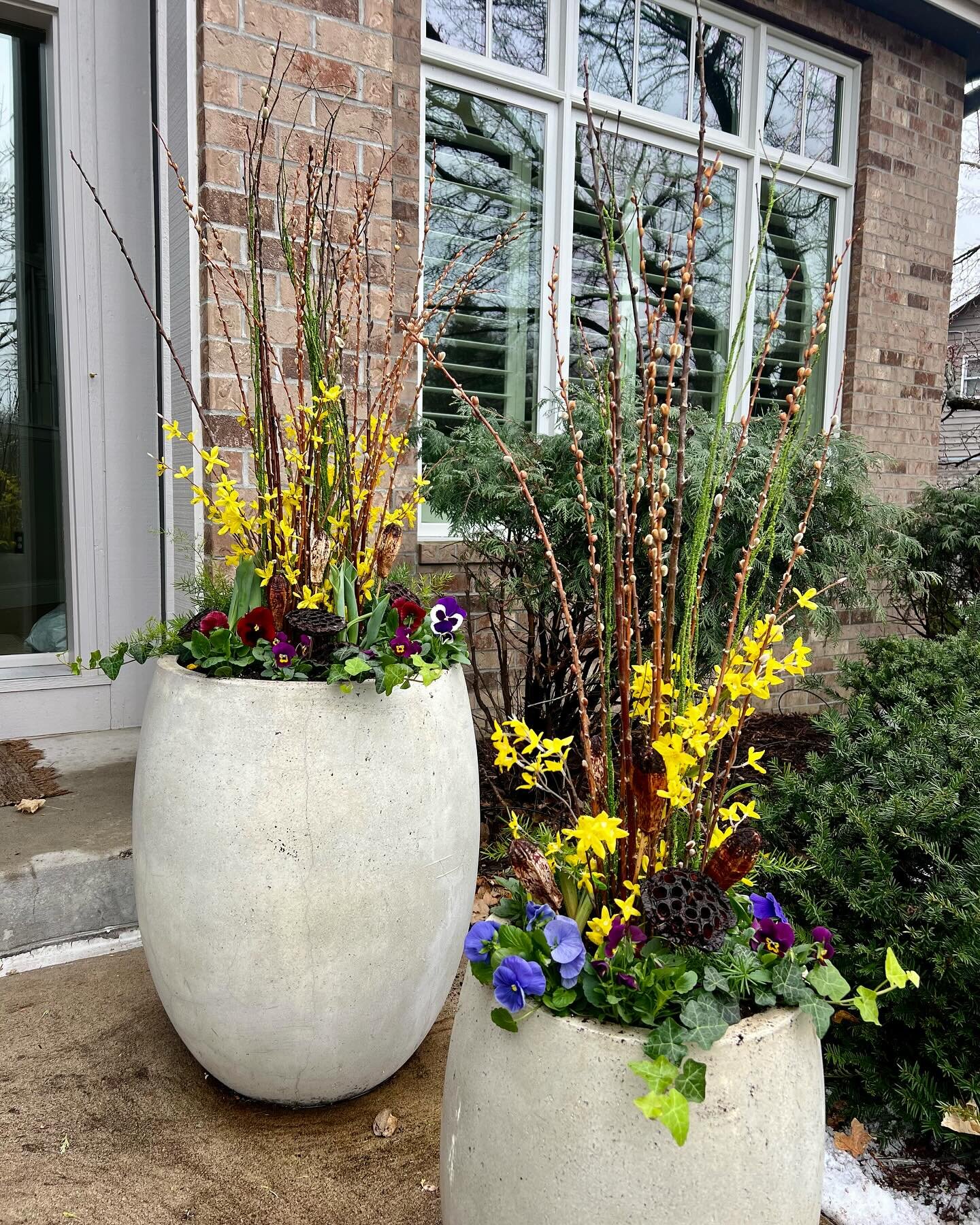 Finally! 🌷🪻 

My Spring flower delivery arrived at 9:30am and my planters were swapped out by 10am 😂. Next up, client planters!🙌