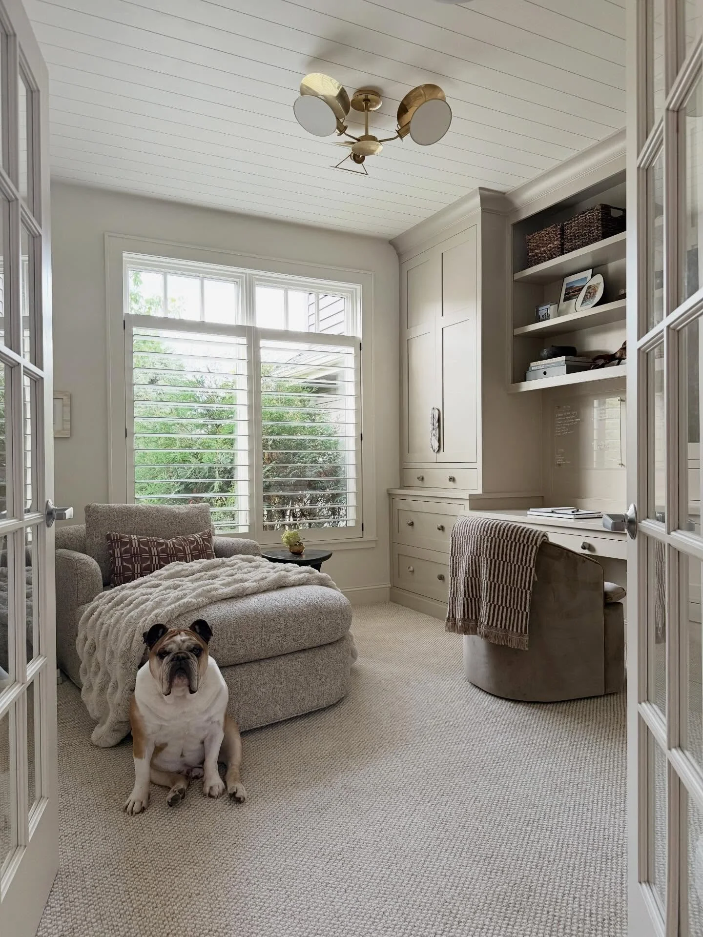 Happy Employee Appreciation Day to Studio Lu&rsquo;s most loyal team member: Nugget.

Chief napper, occasional site visitor, treat quality control specialist, and final design approver. With his impeccable taste and signature side-eye, no project get