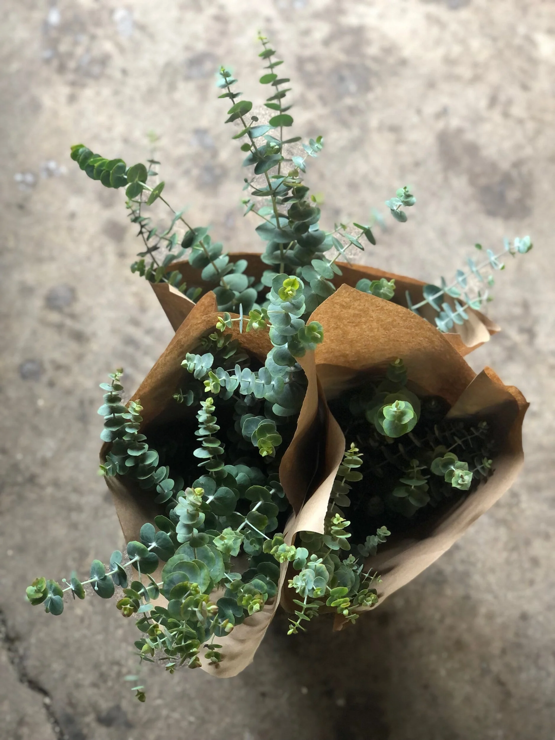 FCF3115E-D6DD-4C7B-B650-9D59C9A11E16