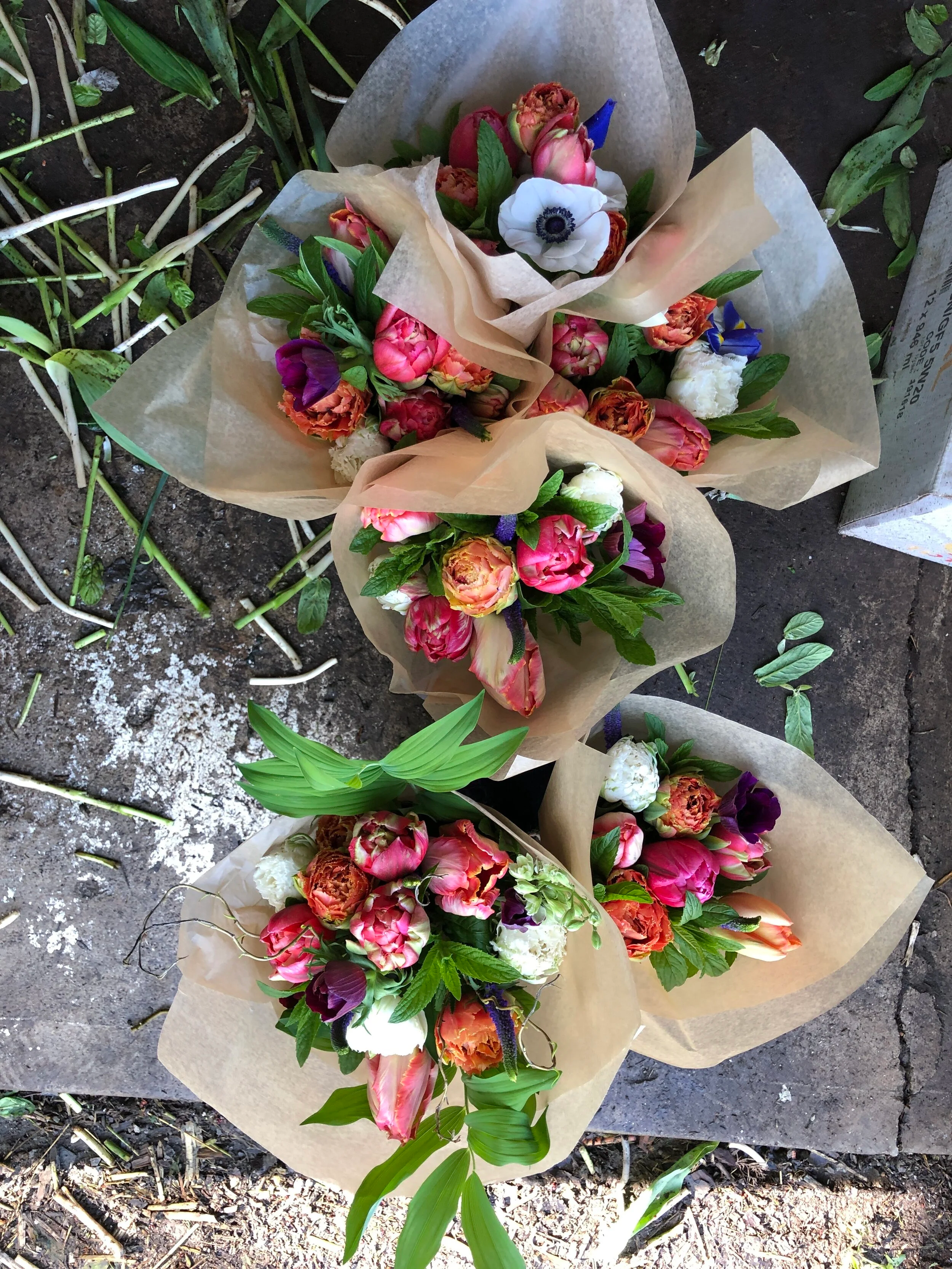Full Season of Feeder Flowers 2026