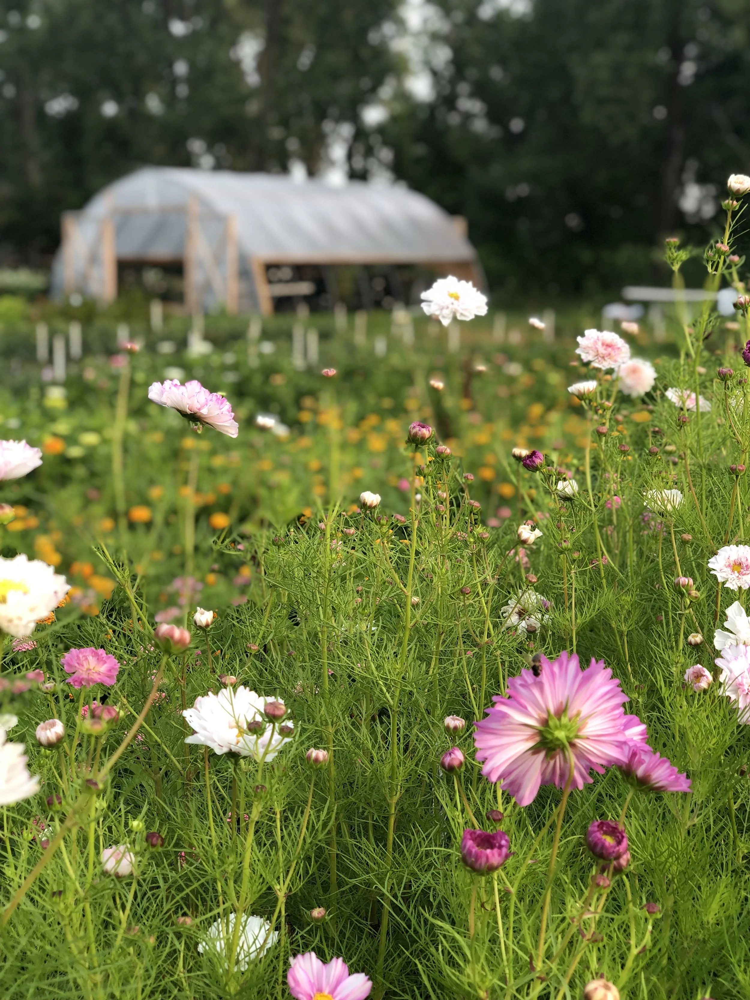 Farm Tour 6pm - 7:30PM [Friday, September 16th 2022]