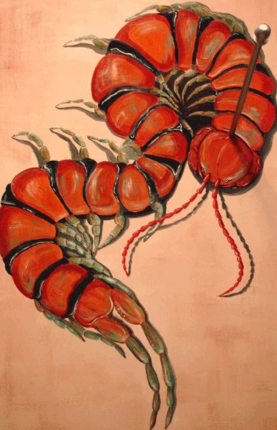 "C.S.I.- Centipede Suicide Illustration", Original