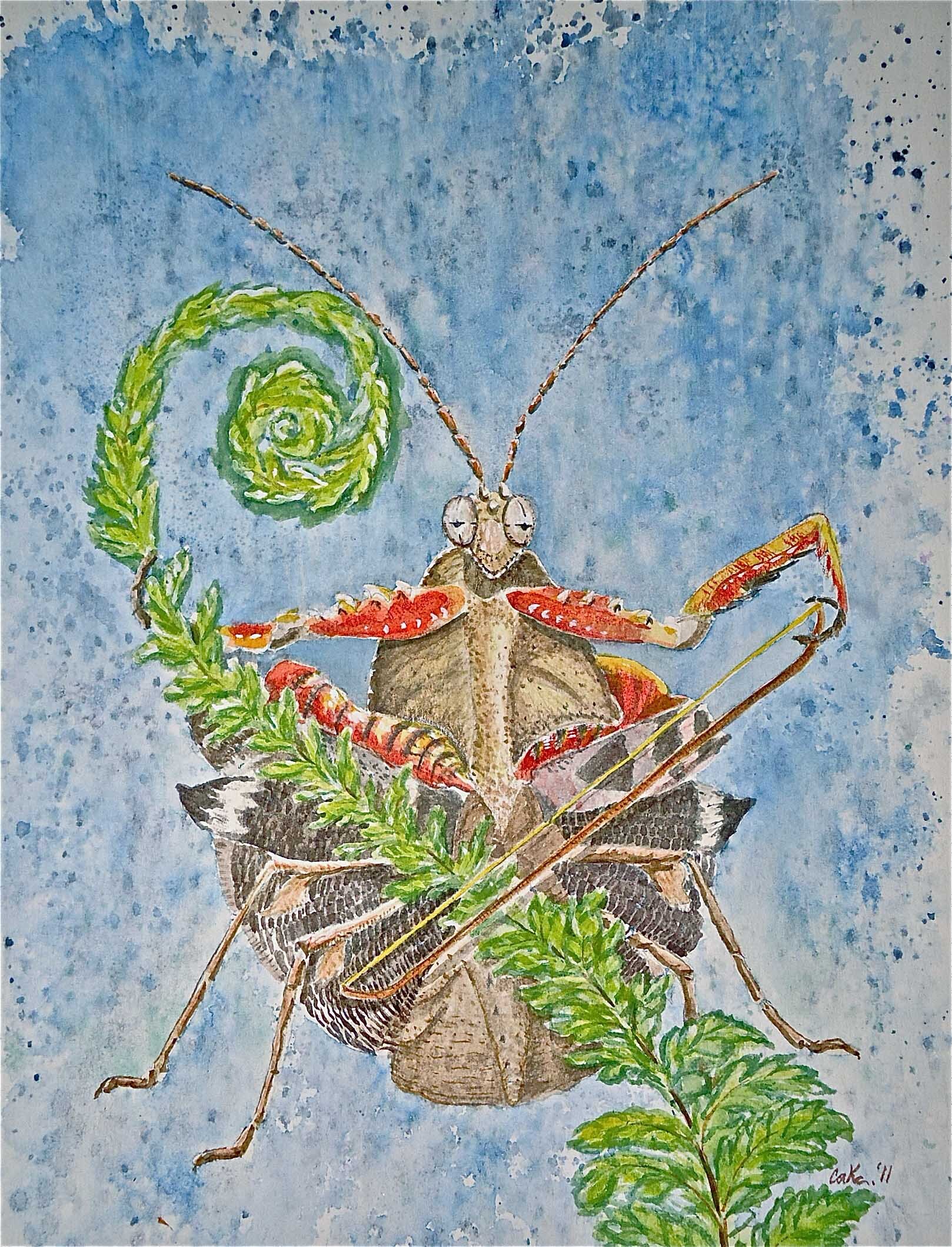 praying_mantis_the-enigma.jpg