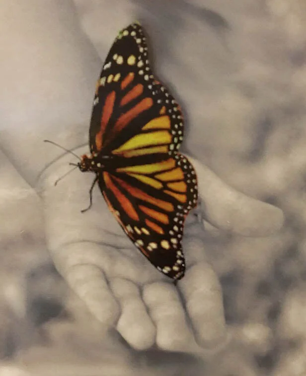 "Benjamin's Monarch", Print