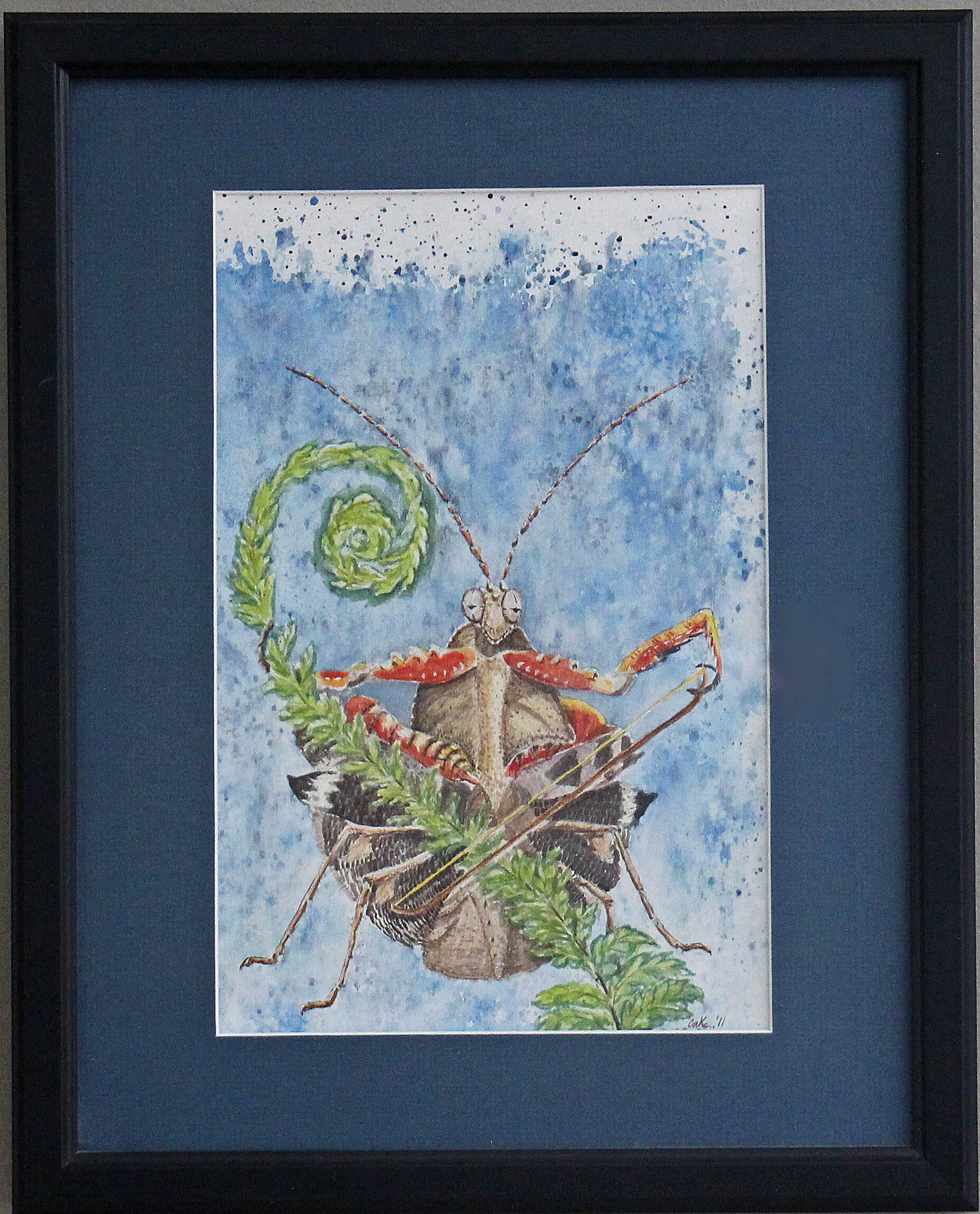 praying_mantis_framed_new.jpg