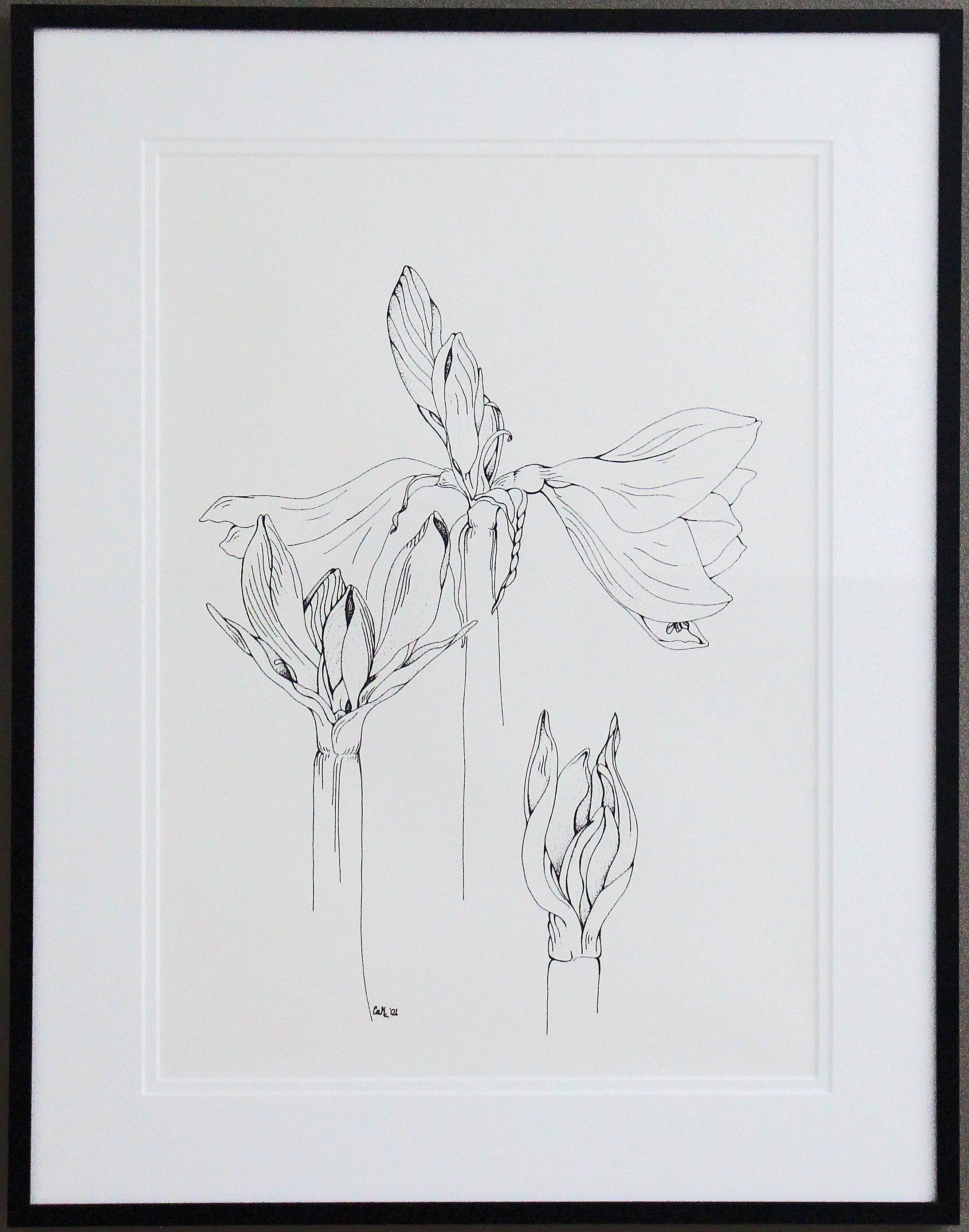 "Amarylis- A Grand Opening", Framed Original