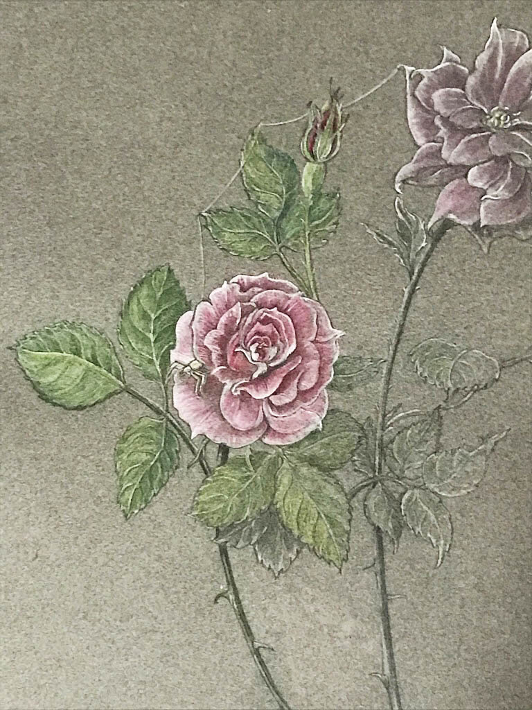 "Fading Rose", Framed Original