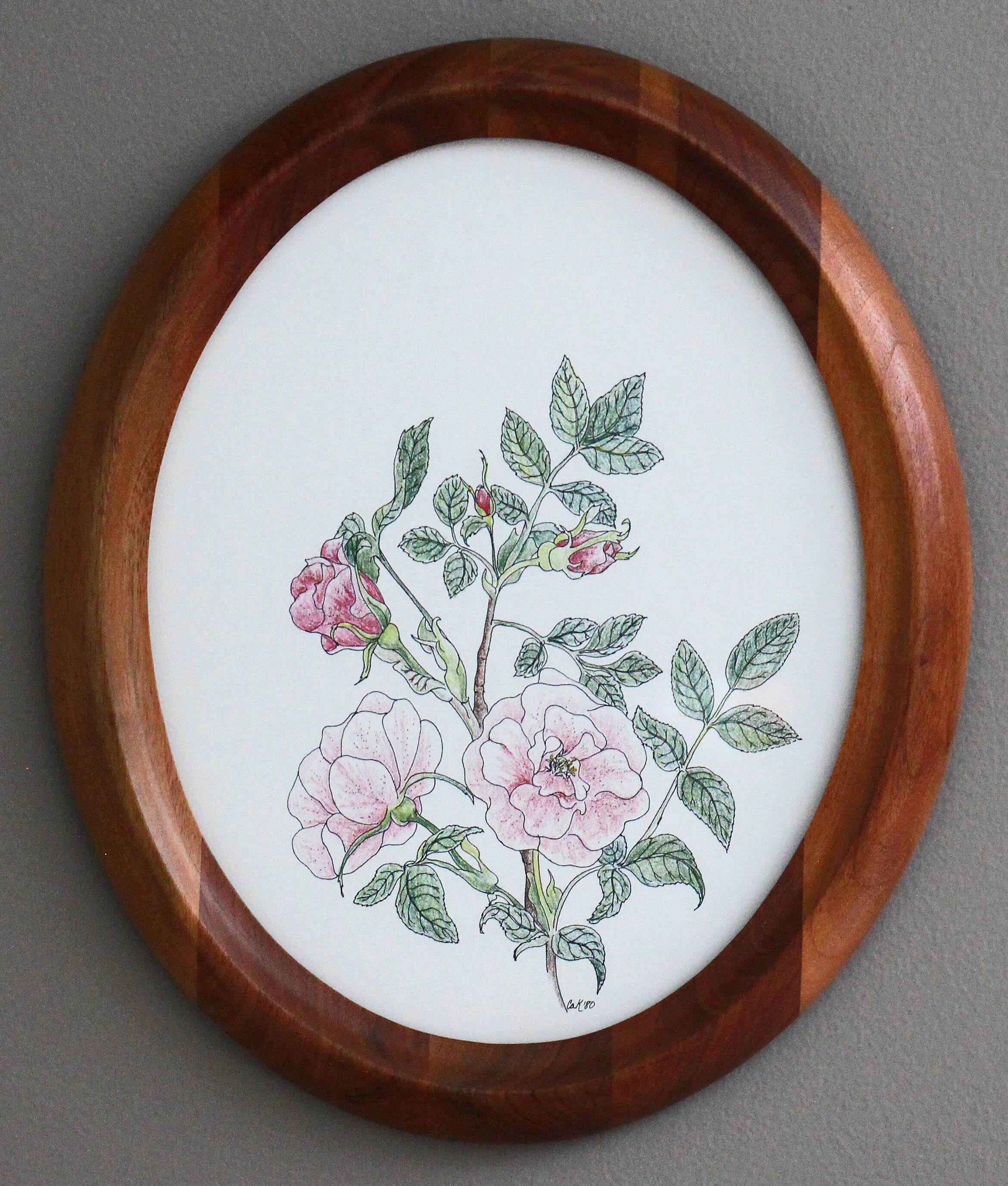 "Shrub Rose",  Framed Original