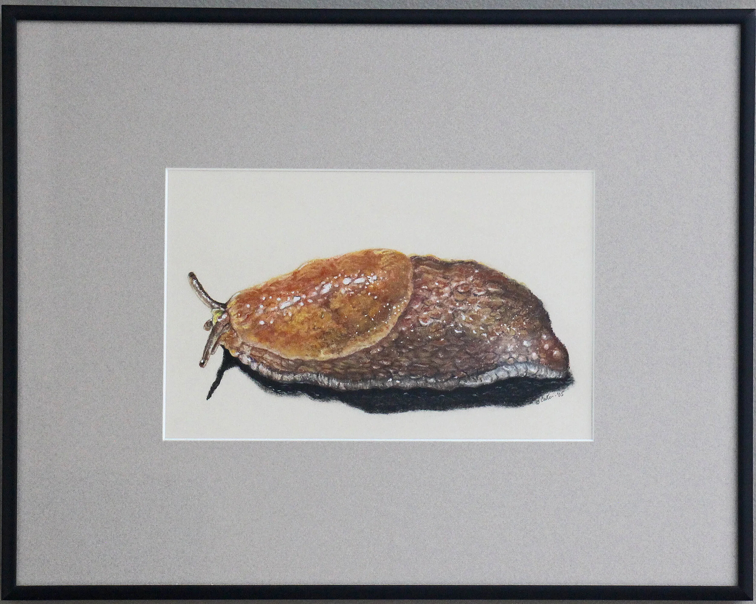 "Slimy Slug", Framed Original