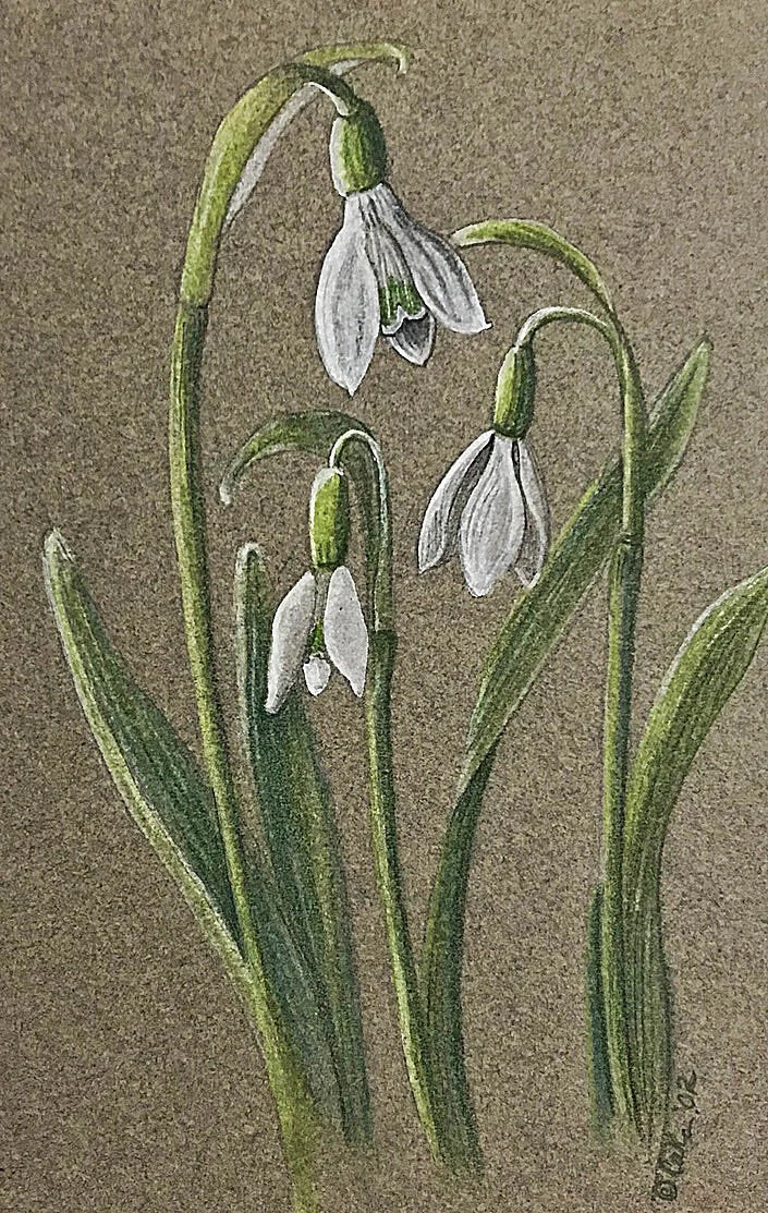 "Snowdrops- A Symbol of Hope", Framed Original