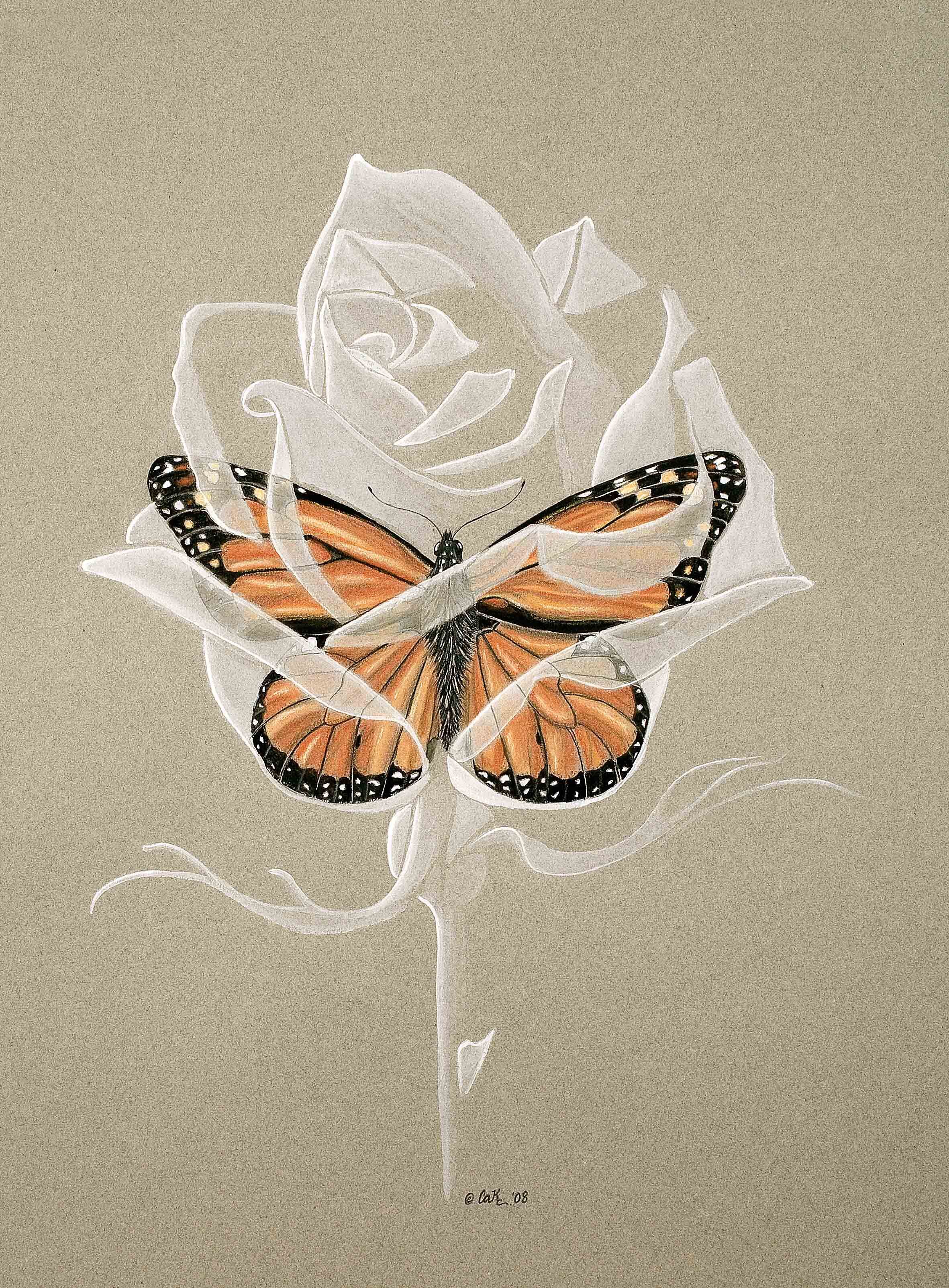 serendipity_monarch_white-rose.jpg