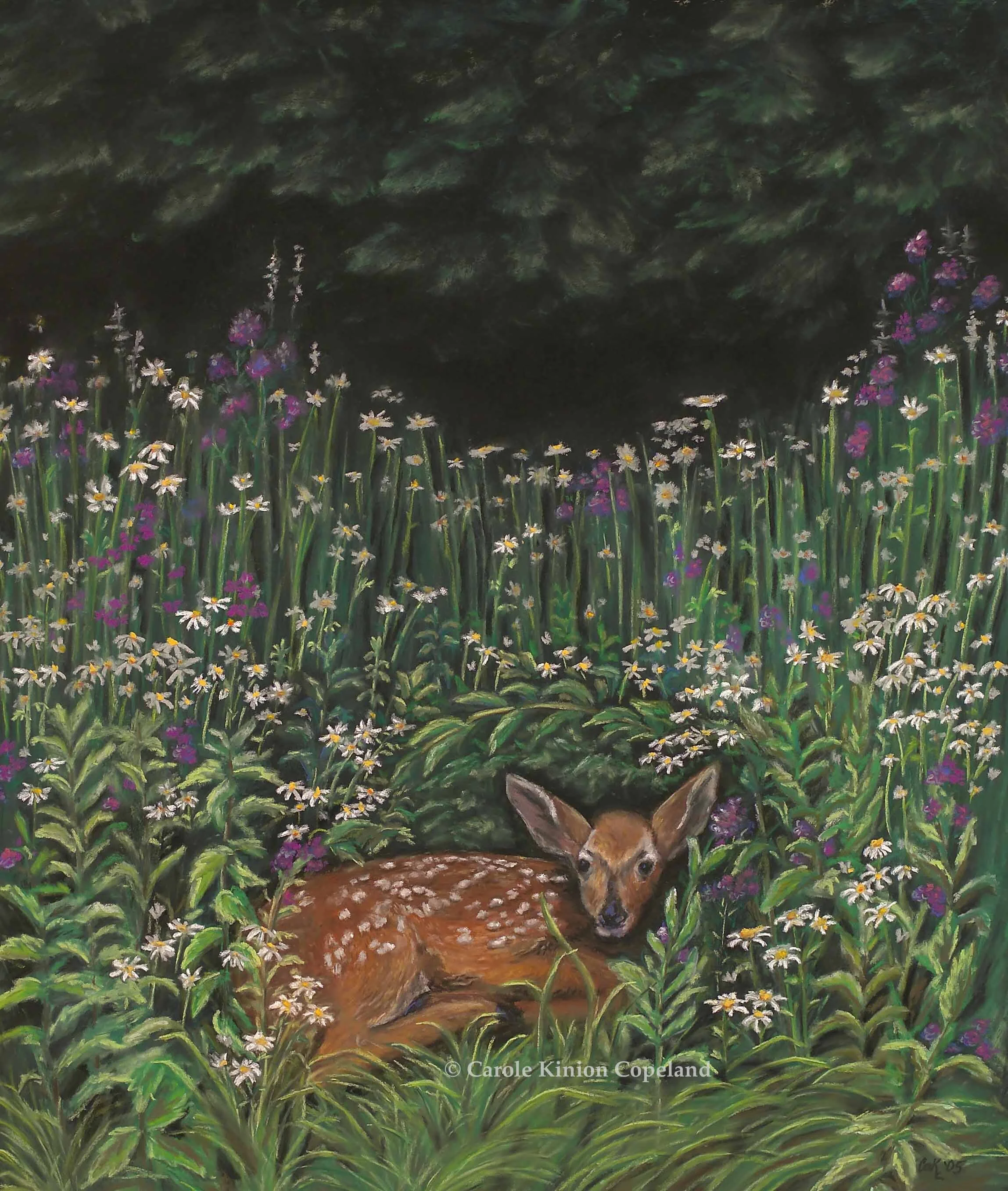 flora_and fawn-awm.jpg