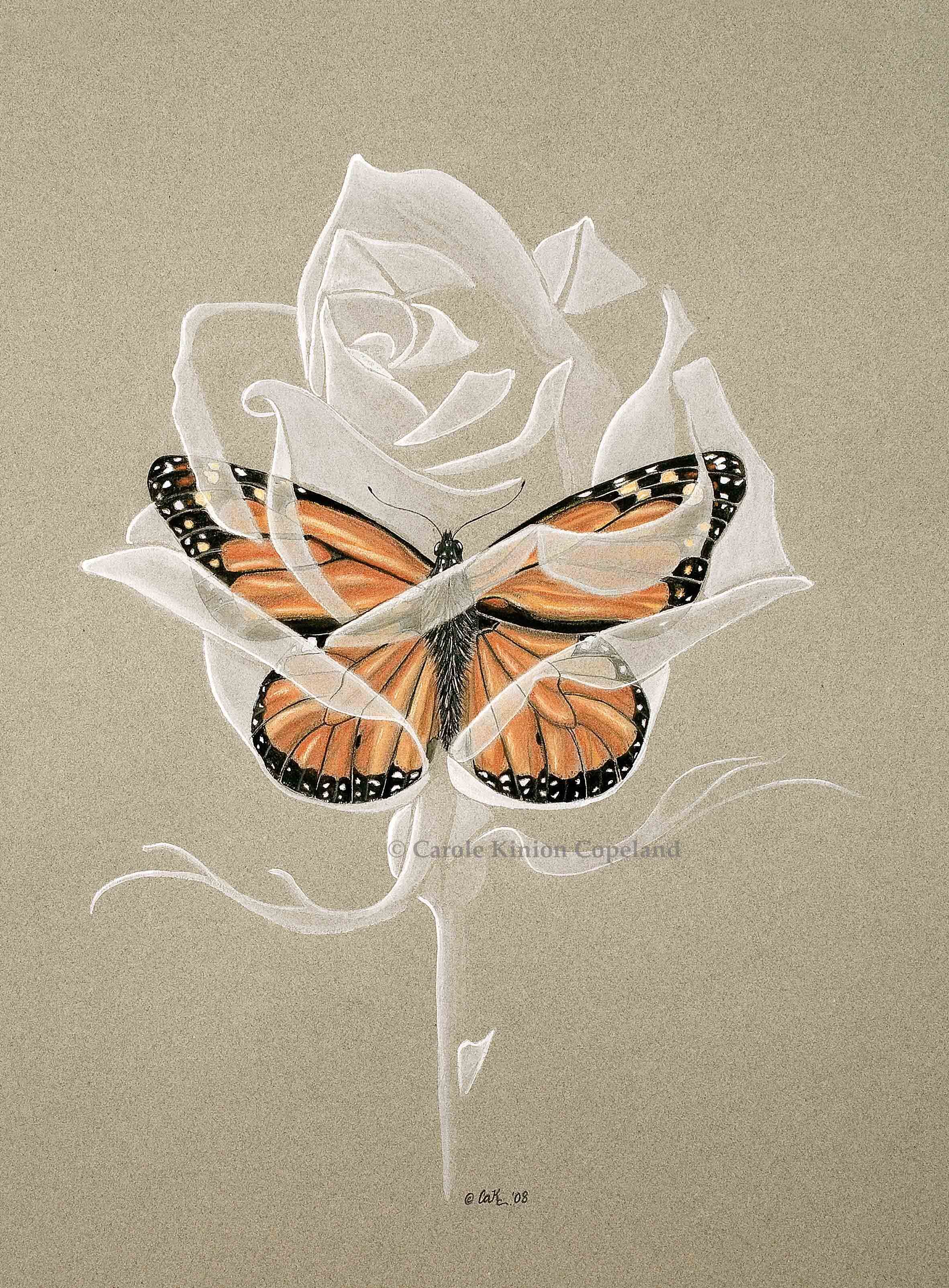 serendipity_monarch_white-rose_wm.jpg