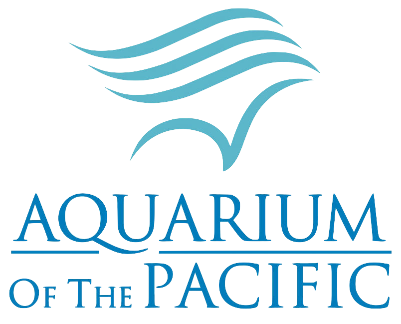 aquarium-of-the-pacific.png