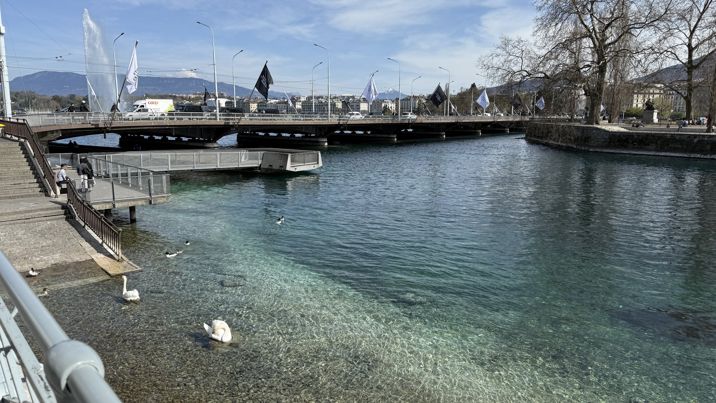 Geneva W&amp;W 2025 April-Delaloye and AHCI 