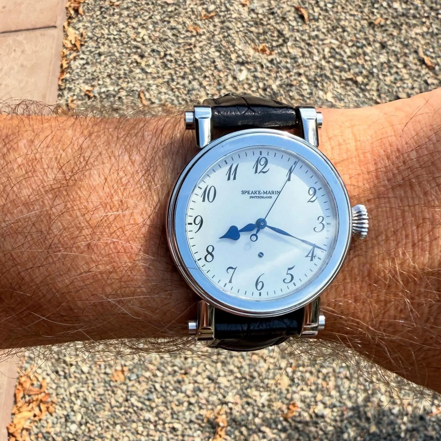 I continue to find aspects of Peter&rsquo;s early work that resonate 20+ years on. This 42mm cased early Piccadilly with the unusual cream enamel dial with Arabic&rsquo;s, looked great on the wrist earlier today. The CA sunshine dappled by a young tr