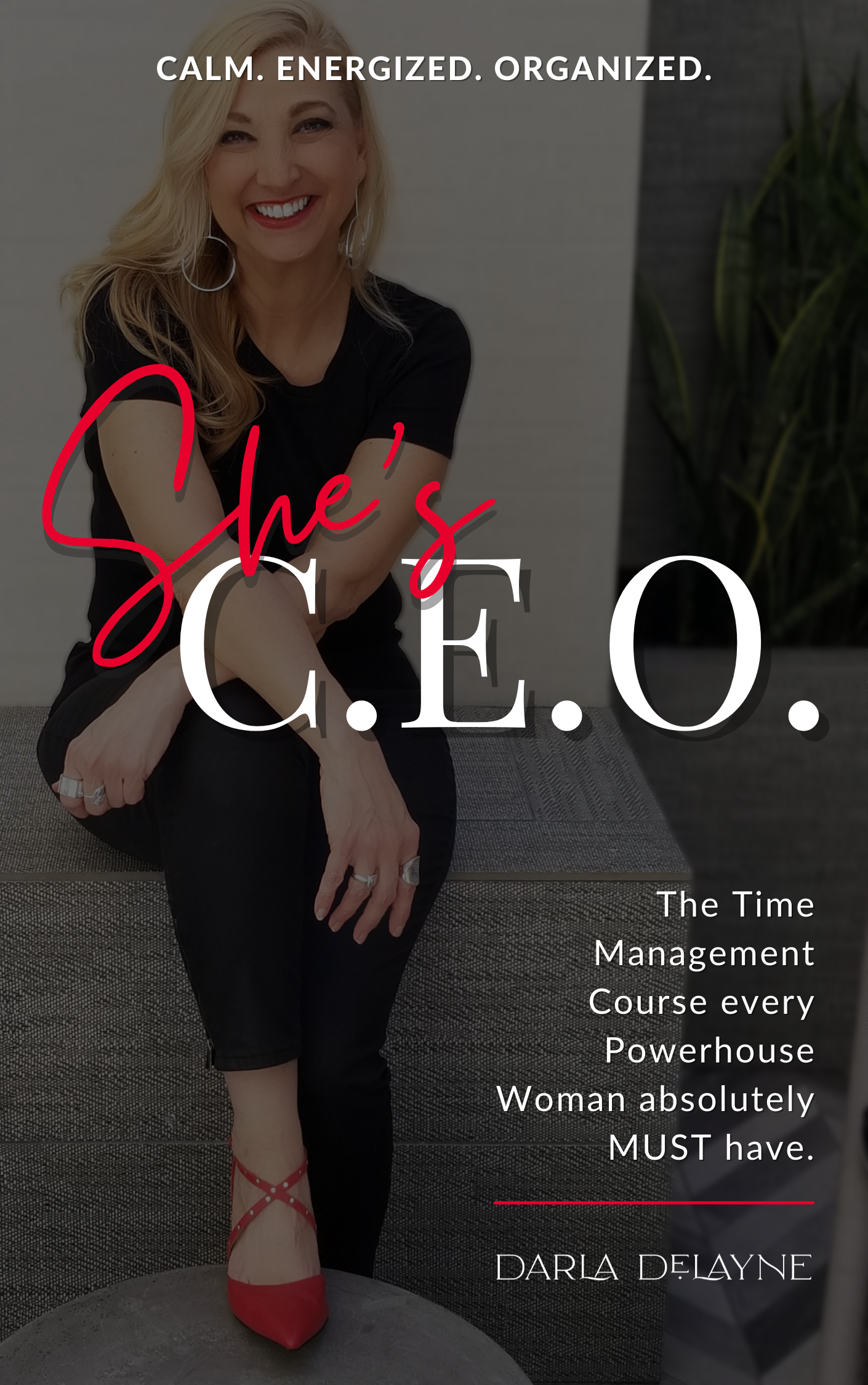She's C.E.O. Graphic.png