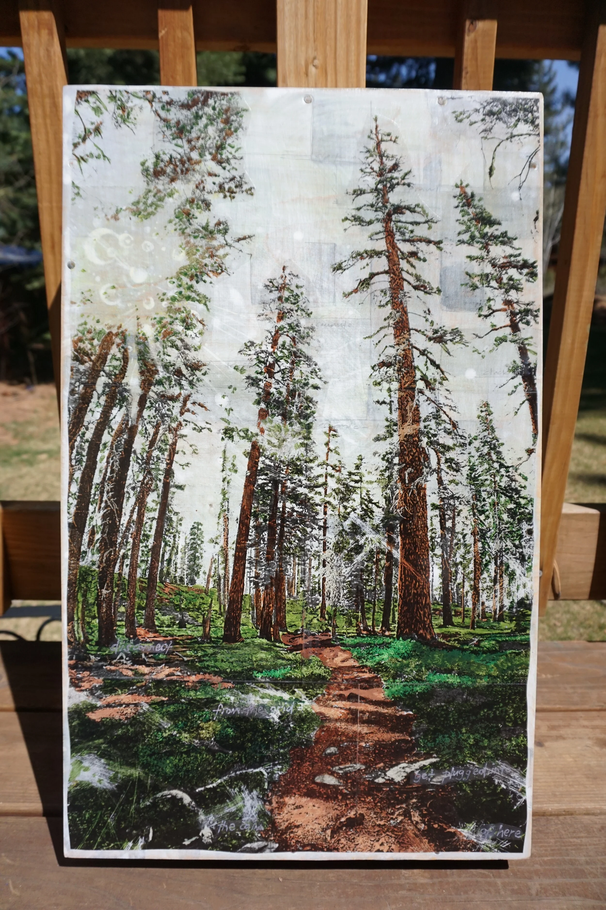Tahoe Rim Trail 14X22 (SOLD)