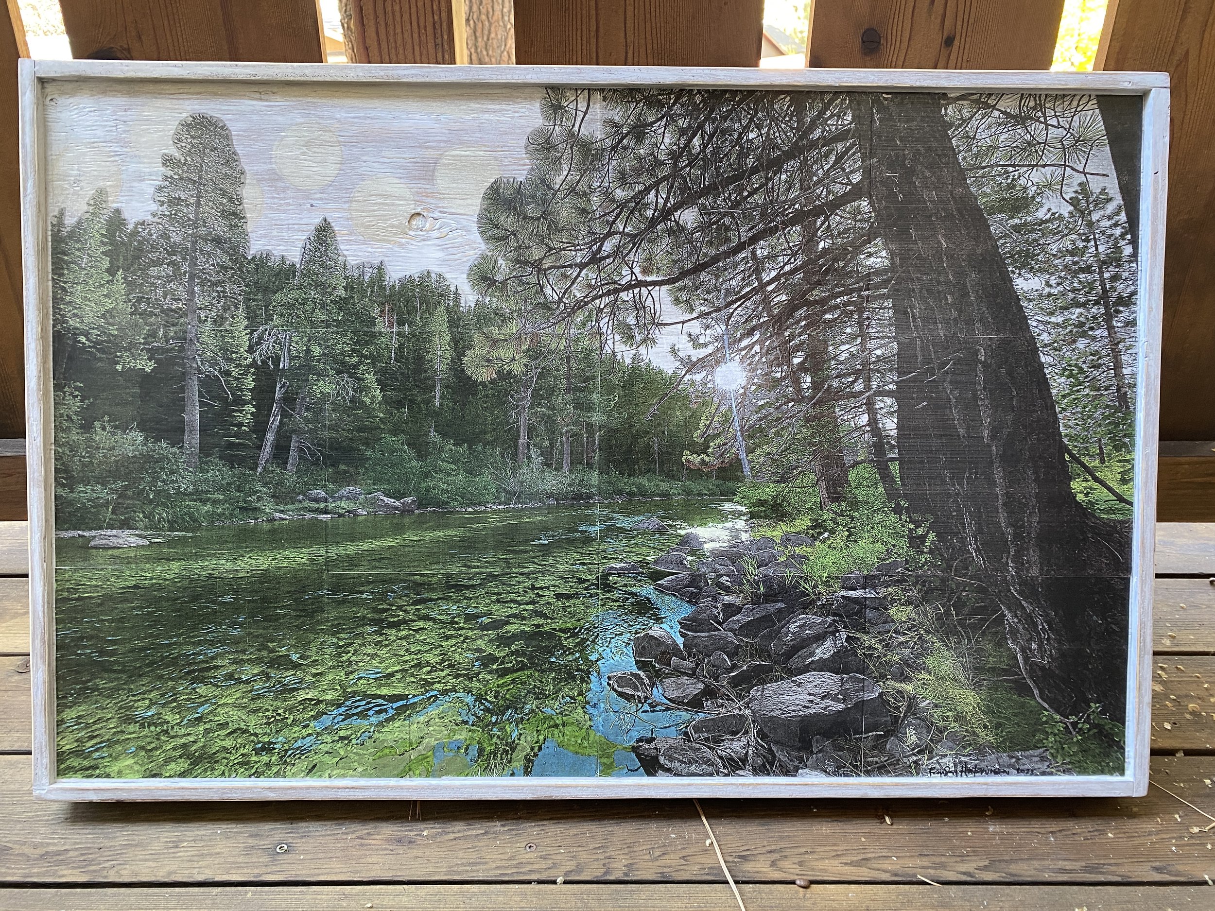 Along the banks of the Truckee 37x24