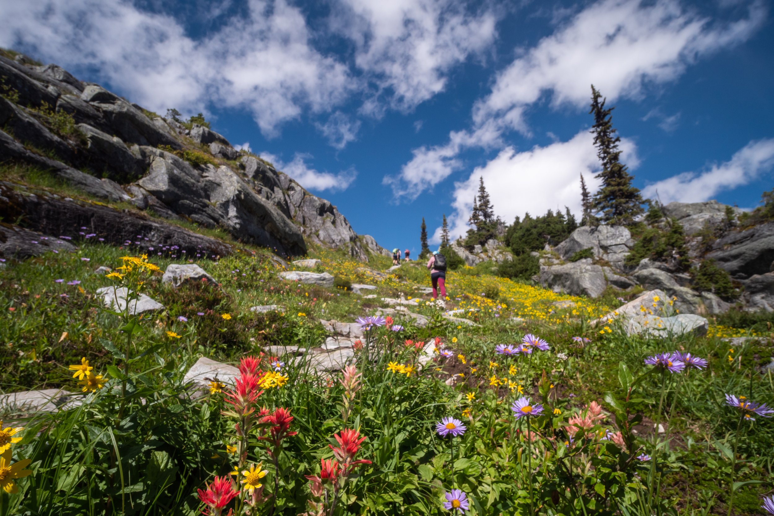 Hermit Trail 2020 - Tom Poole (6 of 18).jpg