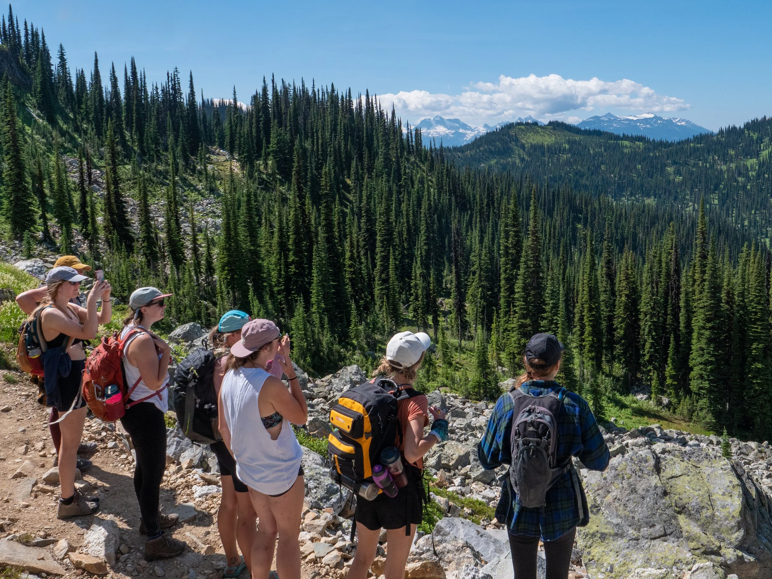 Meadow in the Sky 2020 - Tom Poole   (4).jpg