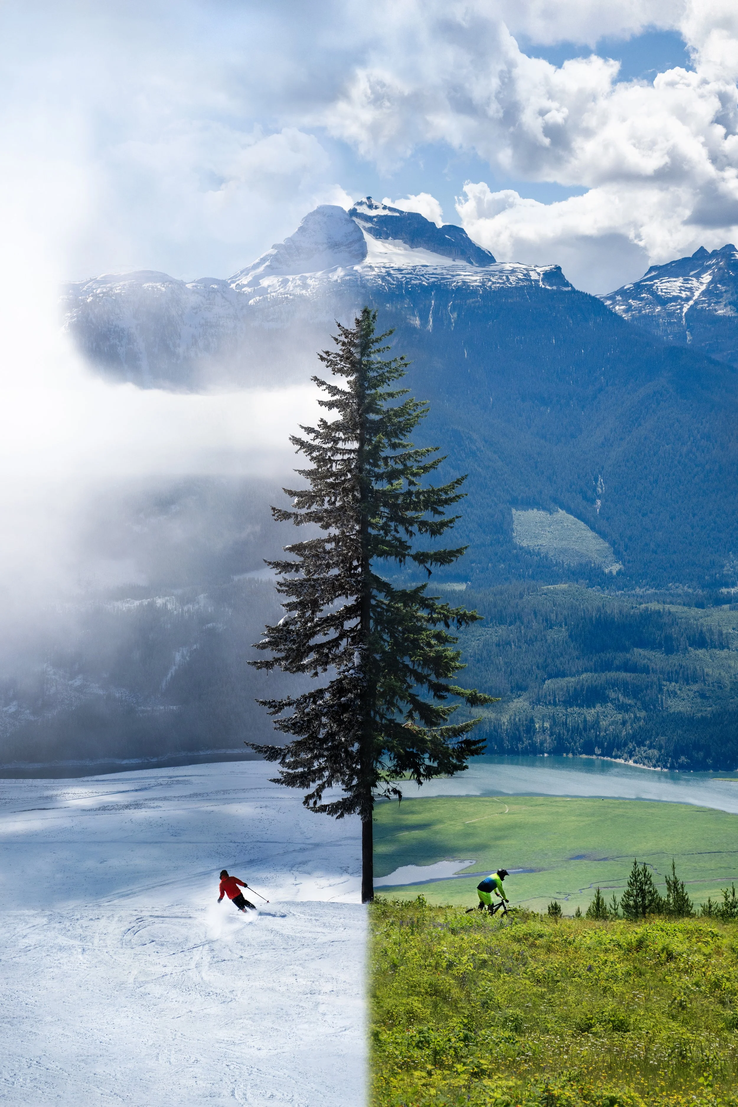 SunshineSeasonBlend-@TomPoolePhotography copy.jpg