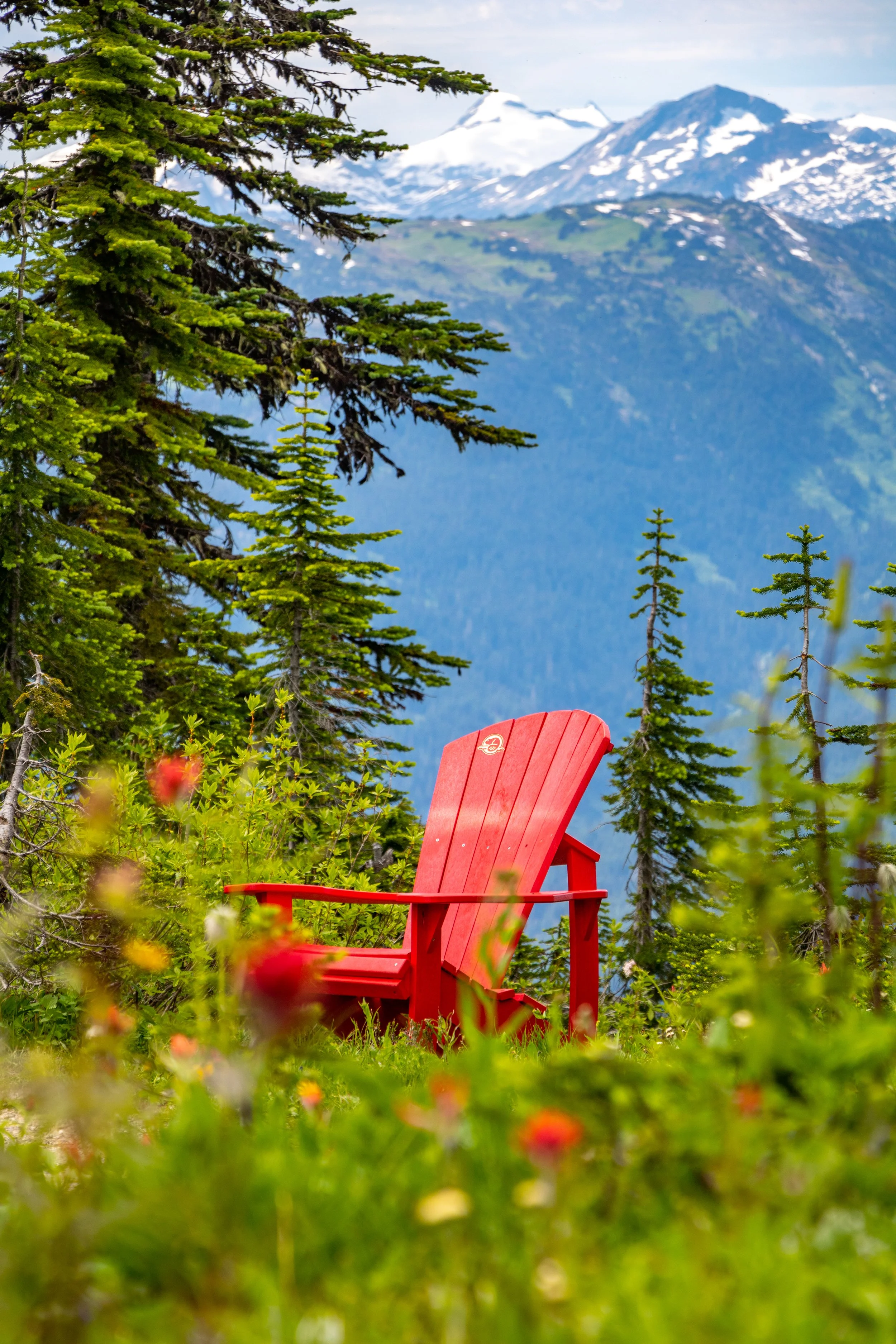 Mount Revelstoke - TomPoole (3 of 10).jpg