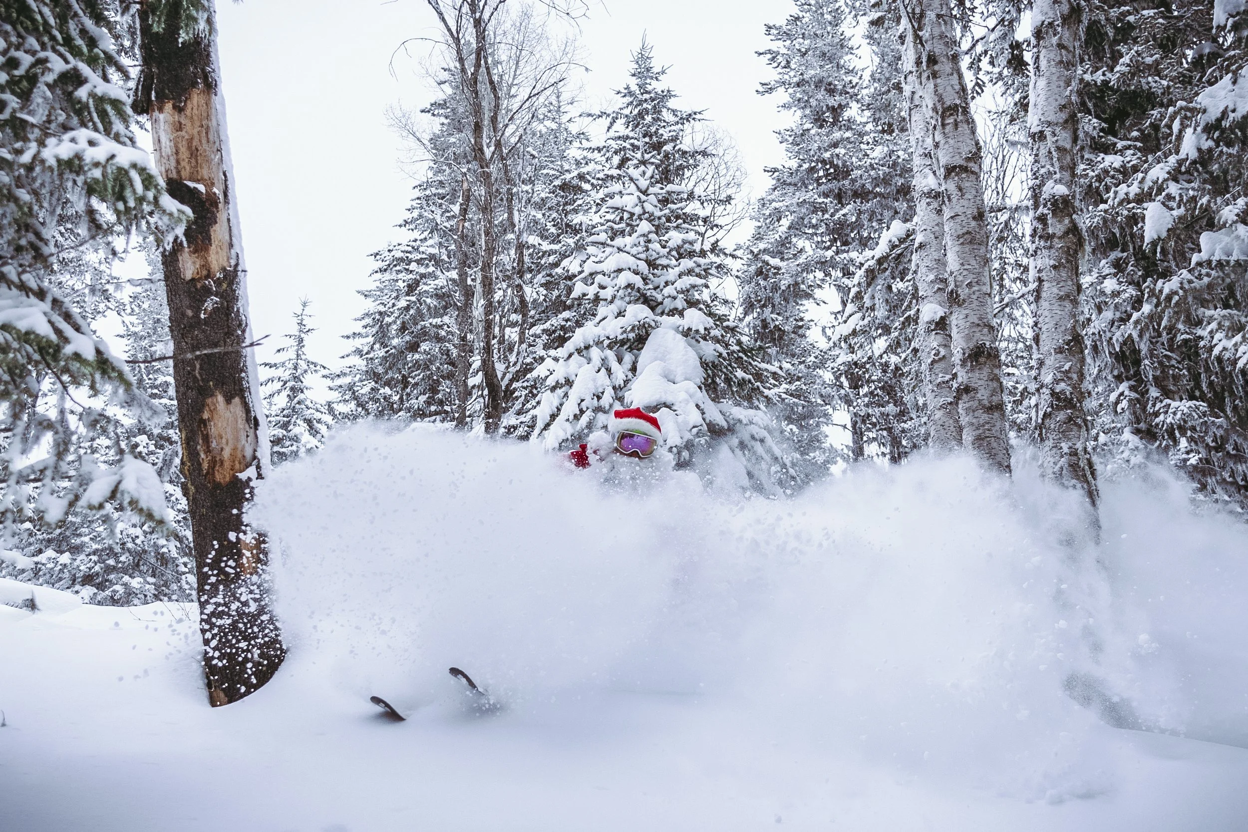 Santa Landscape final 2 copy.jpg