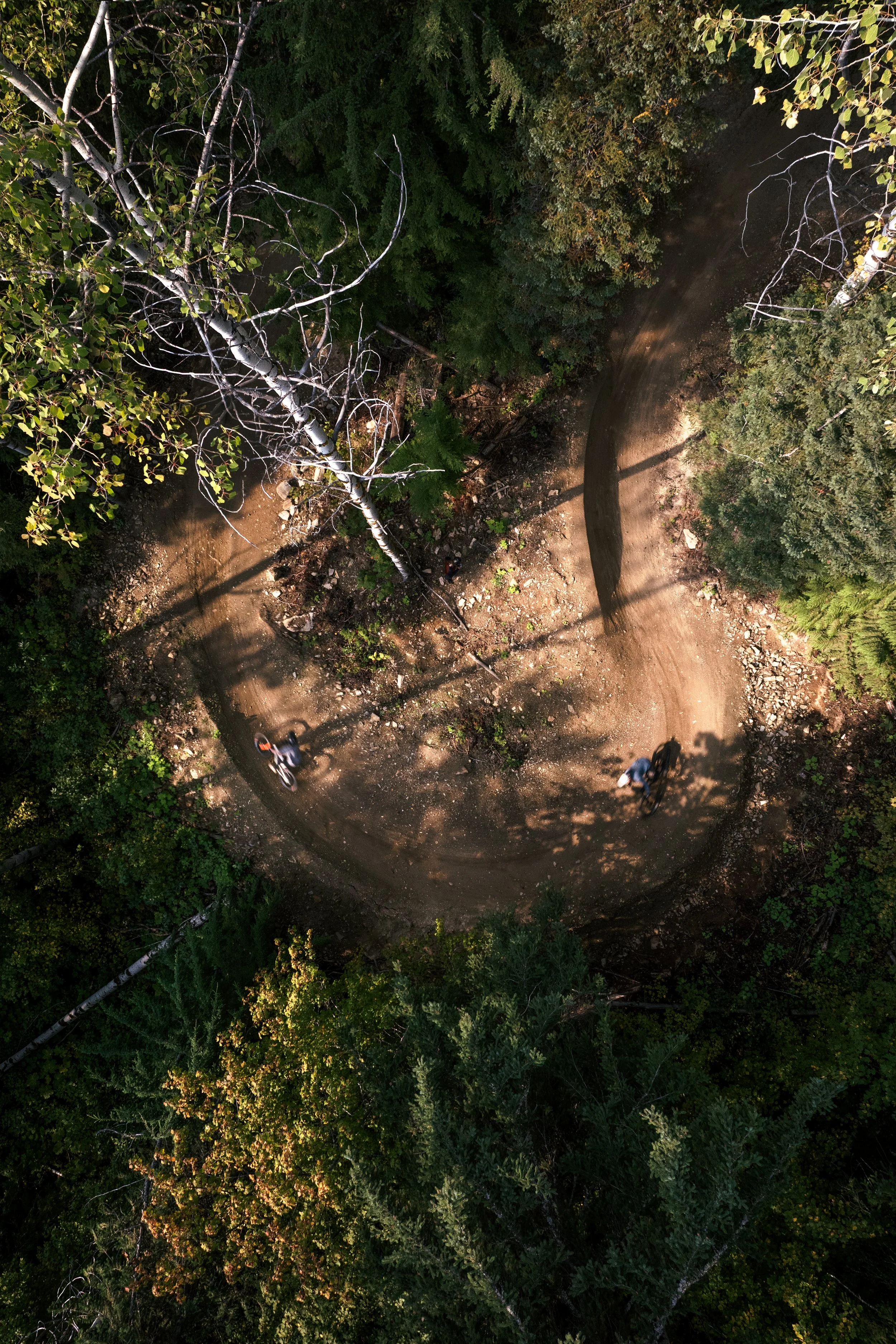Biking Fall Drone shot copy.jpg