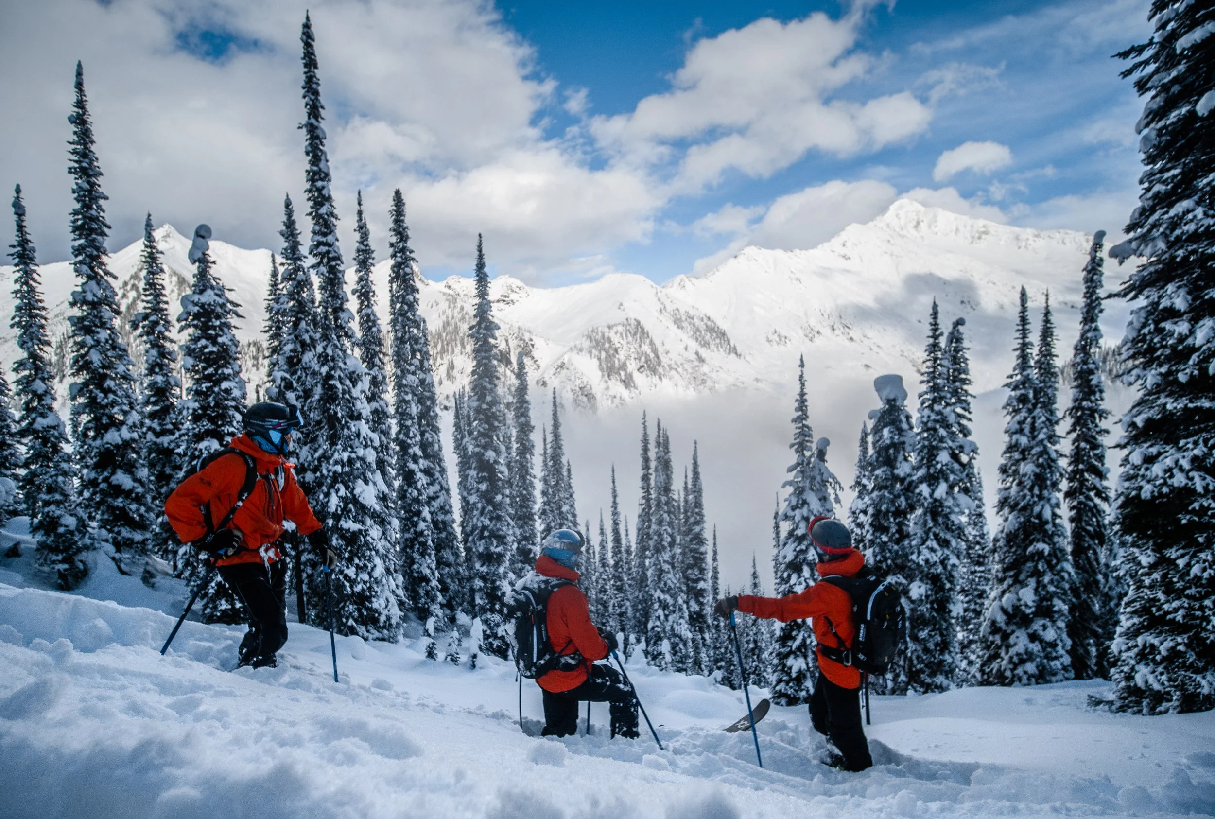 MICA 2020 - Tom Poole-2577154.jpg