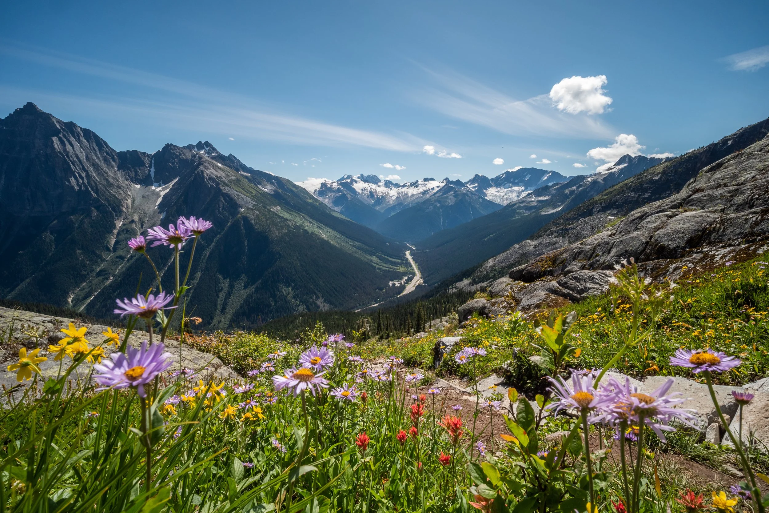 Hermit Trail 2020 - Tom Poole (5 of 18).jpg