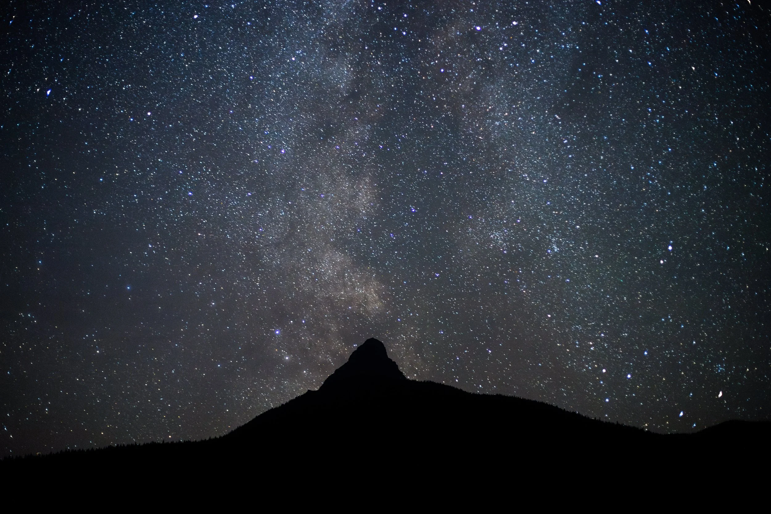 IMG_7582-Enhanced-NR copy.jpg