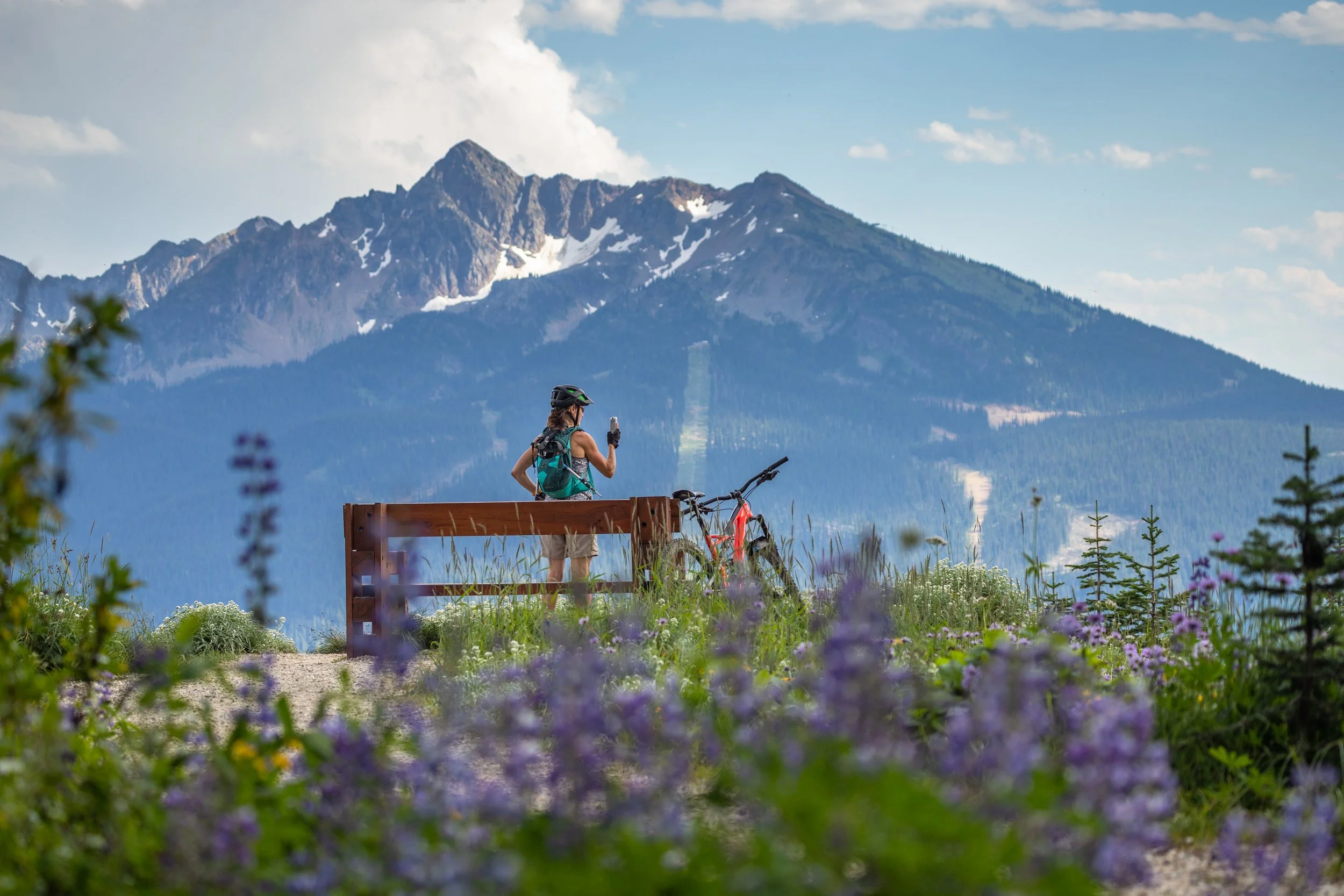 Meadow in the Sky 2020 - Tom Poole   (65).jpg