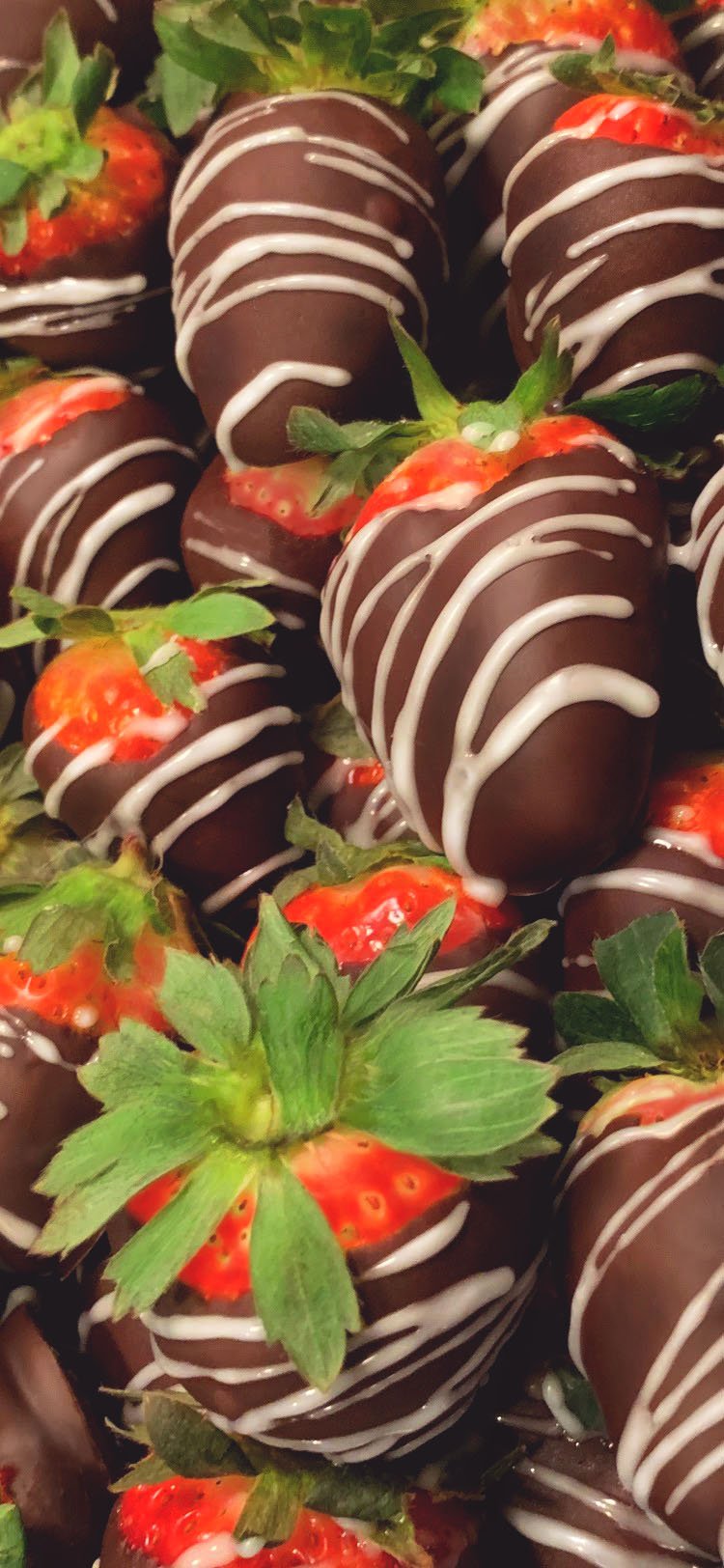 Choc. Strawberries reg..jpg