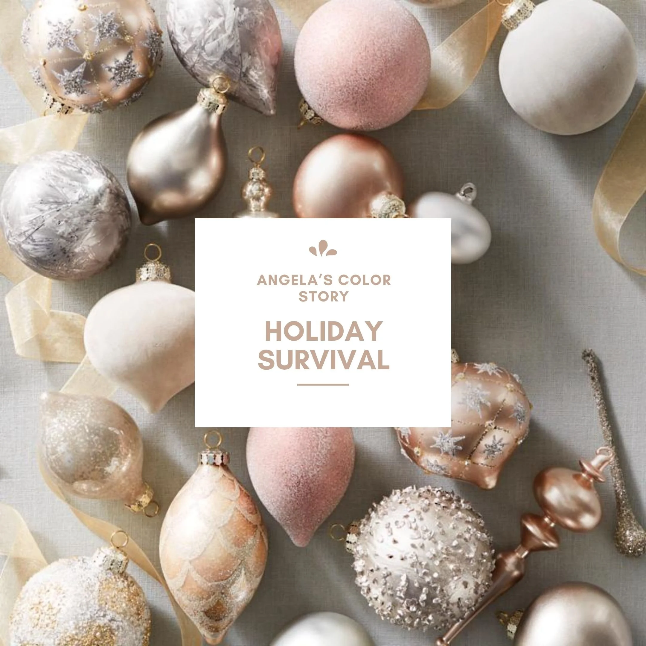 My Color Story VLOG # 22 Holiday Survival 