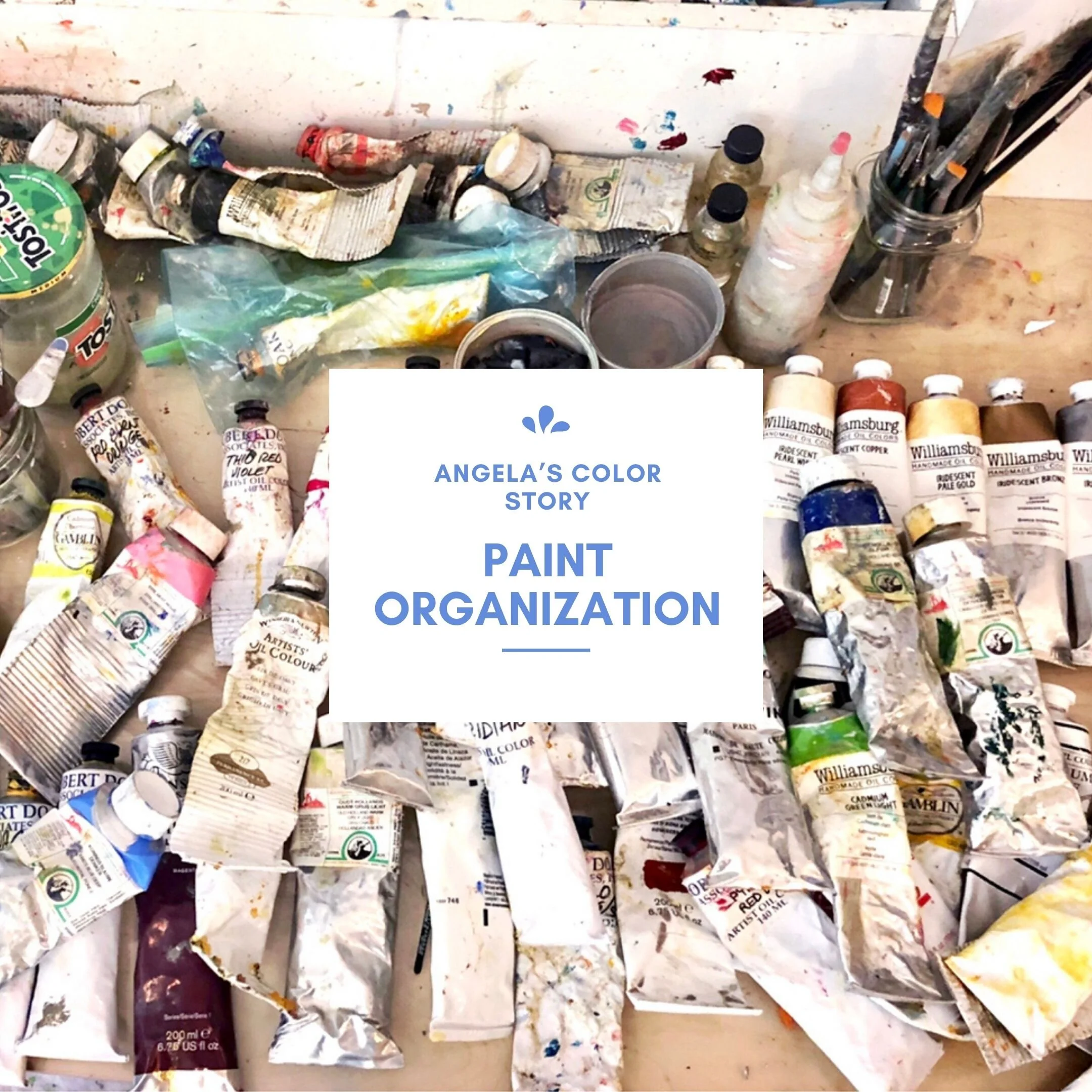 My Color Story VLOG # 23 Paint Organization