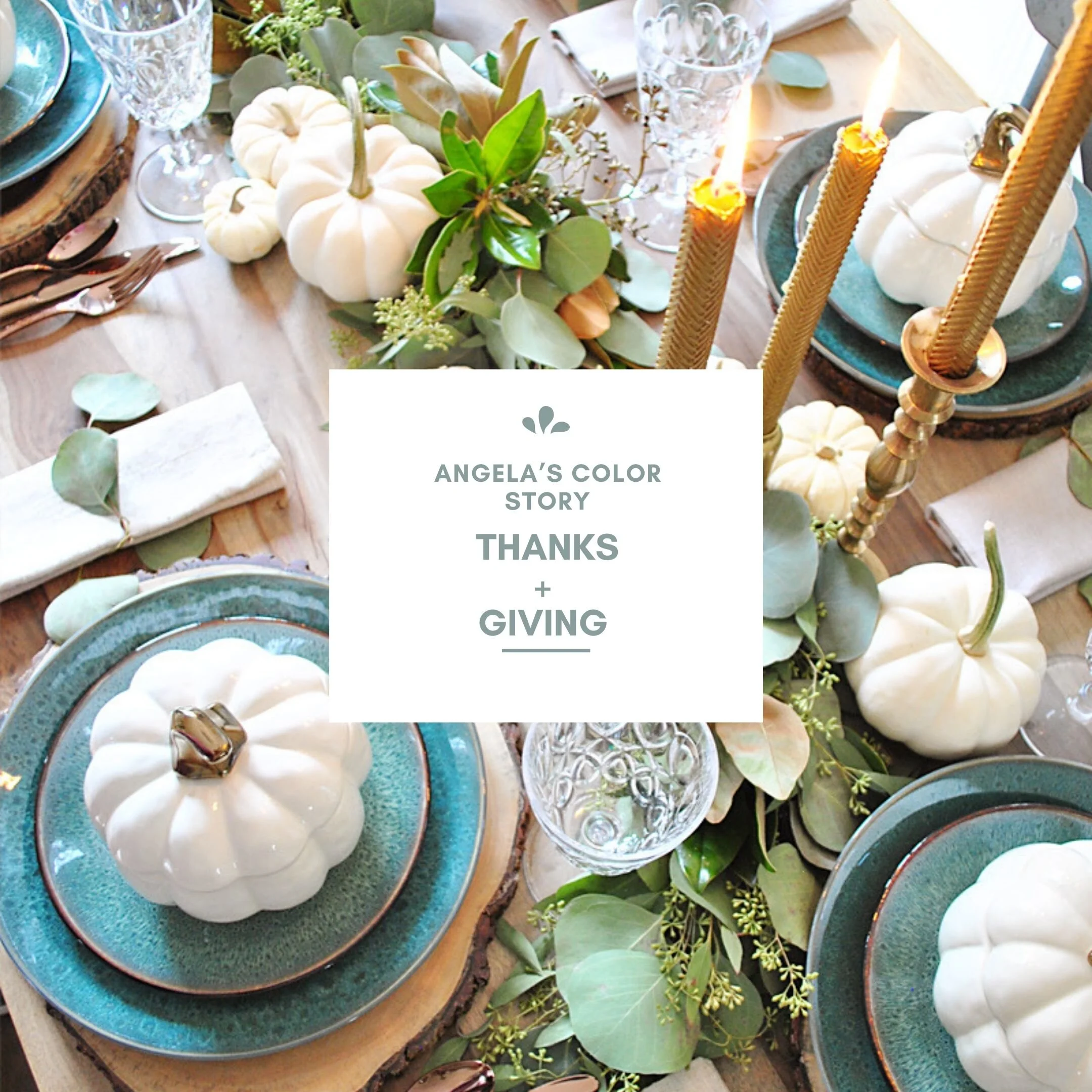 My Color Story VLOG # 24 Thanks + Giving