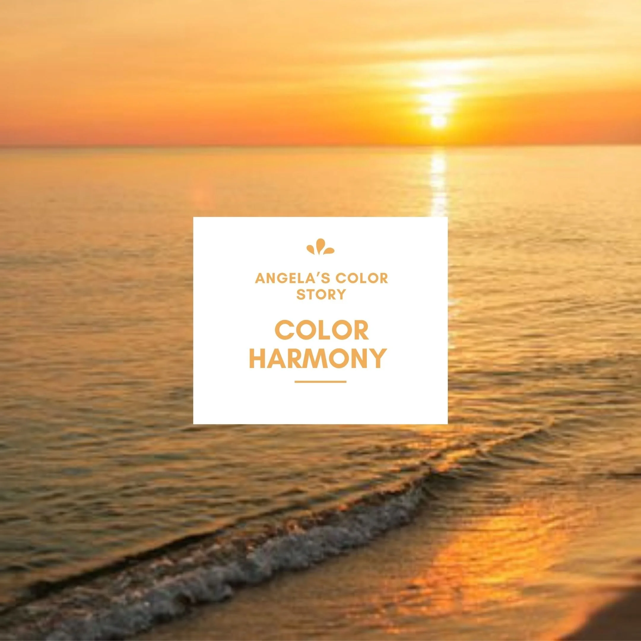 My Color Story VLOG # 39 Color Harmony